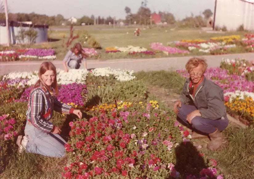 Adrian Vandermeer and his daughter kneeling with trays of annuals in field on sunny day in 1988