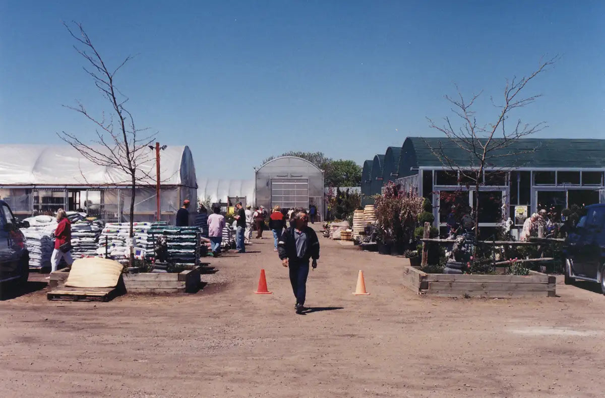 Three greenhouses surrounding outdoor yard and man walking out front entrance on gravel parking lot.