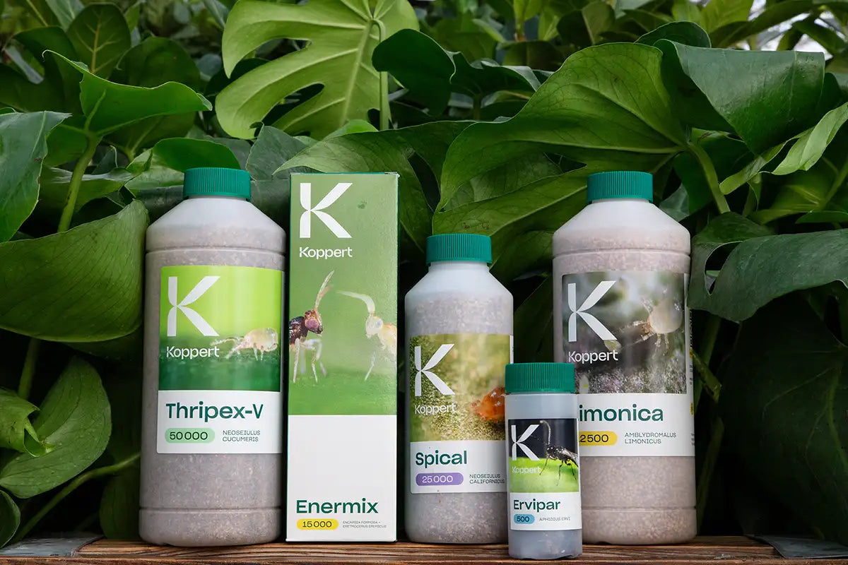 Bottles of Koppert beneficial insects for pest control with plants in the background