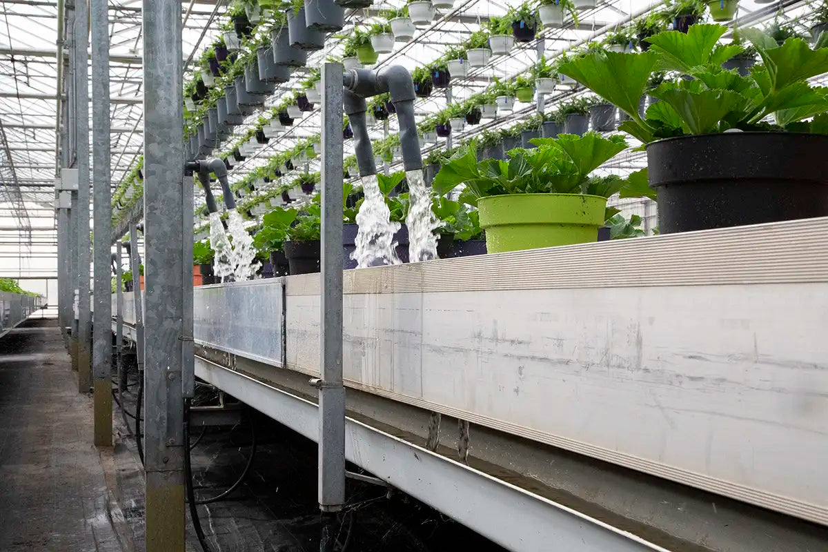 Flood tables with potted plants on them in greenhouse setting with water spout above spilling water onto table, and drain system underneath catching it.