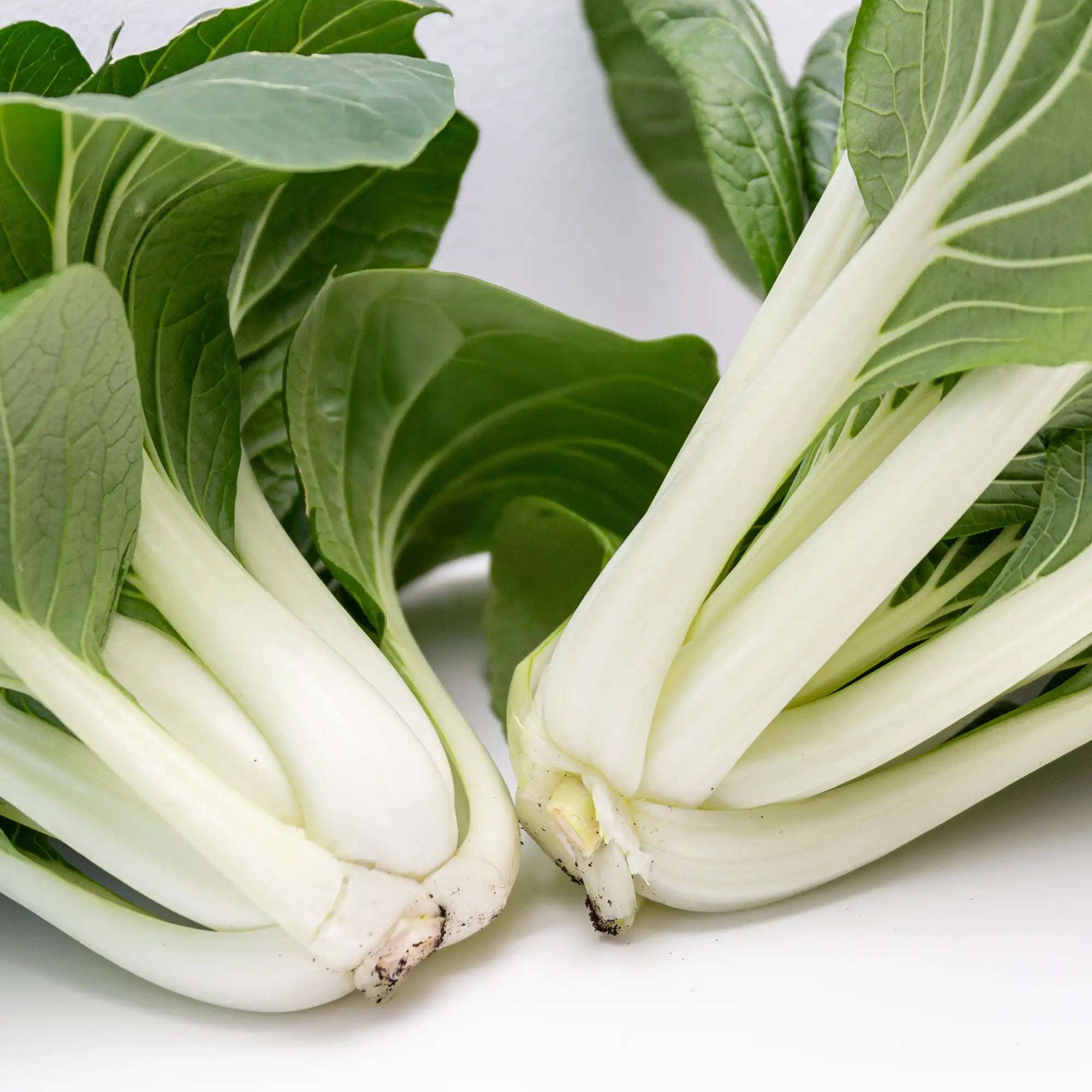 Bok Choy/Pak Choi 'Joi Choi'