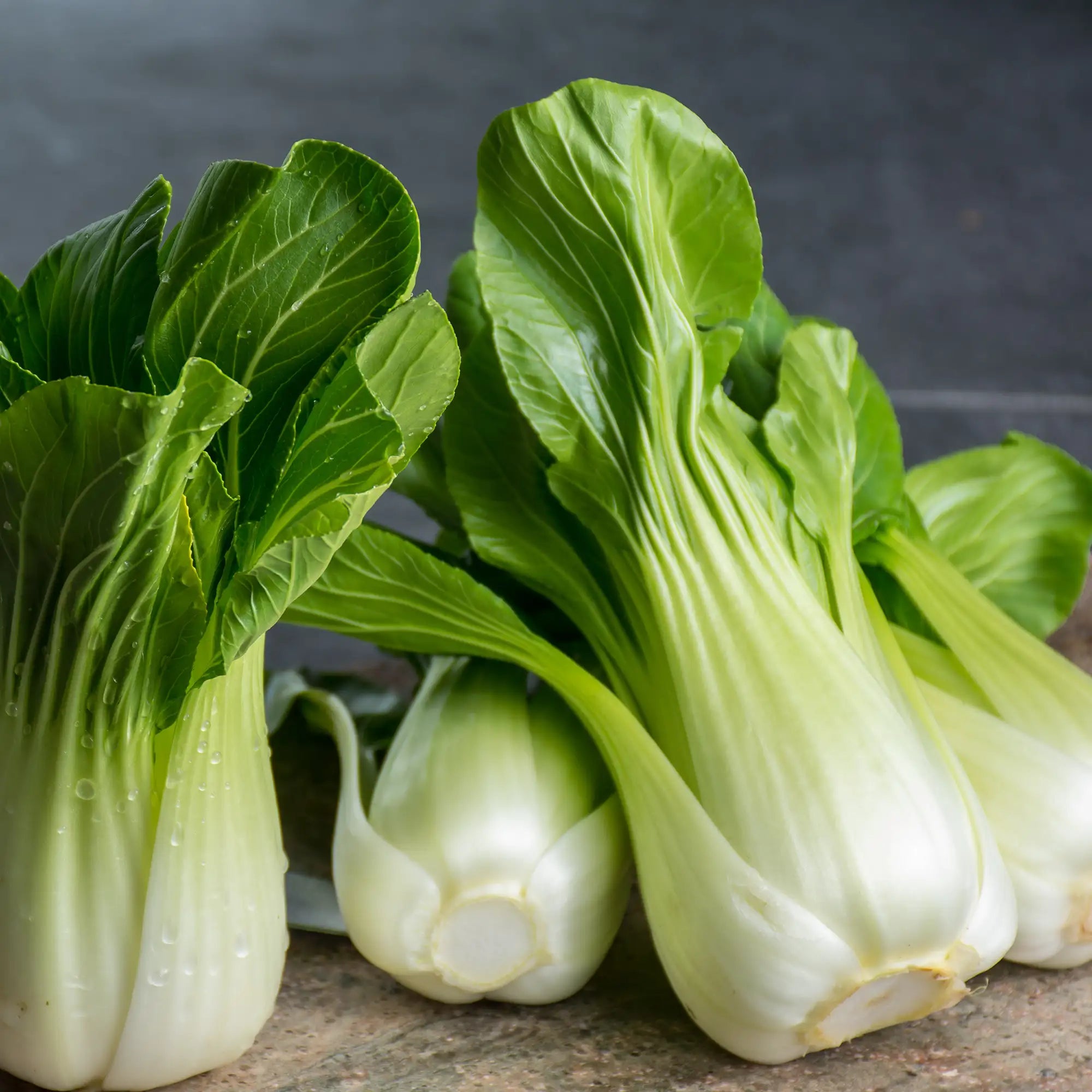 Bok Choy/Pak Choi 'Toy Choy'