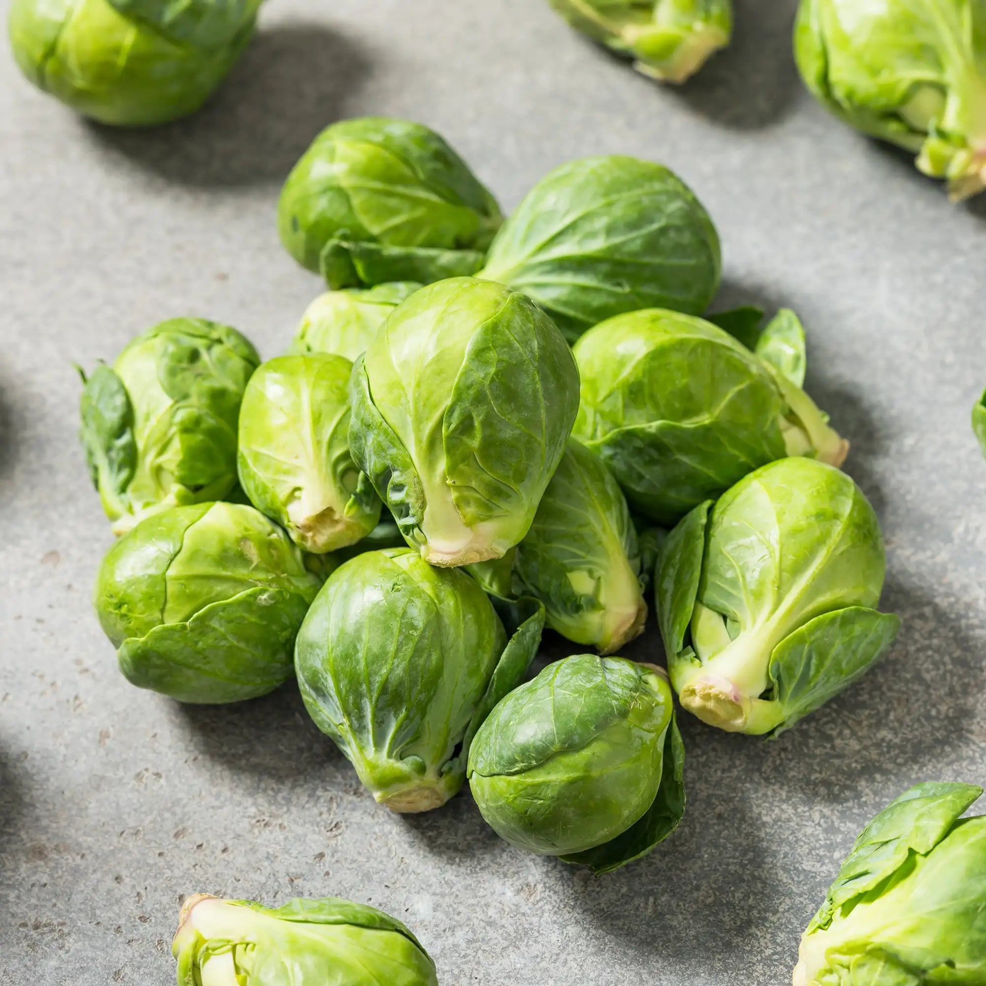Brussels Sprouts