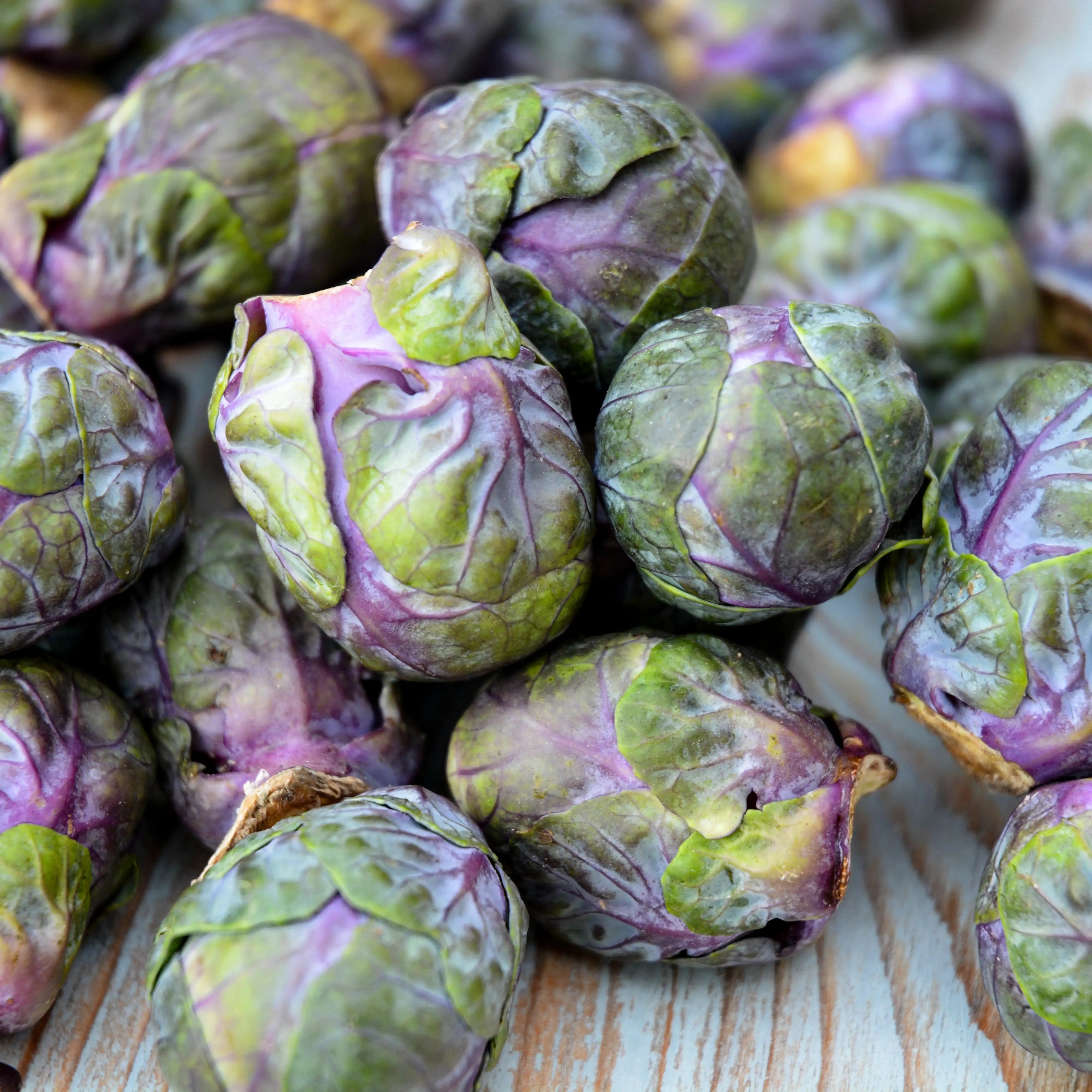 Brussels Sprouts Purple