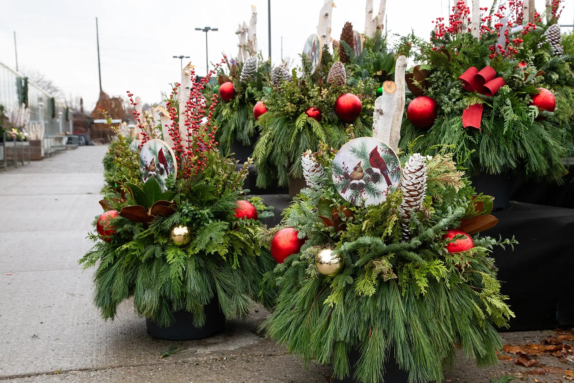 Decorative evergreen planters with greenery, ornaments, cardinal plaque, and birch branches in an outdoor garden centre setting.