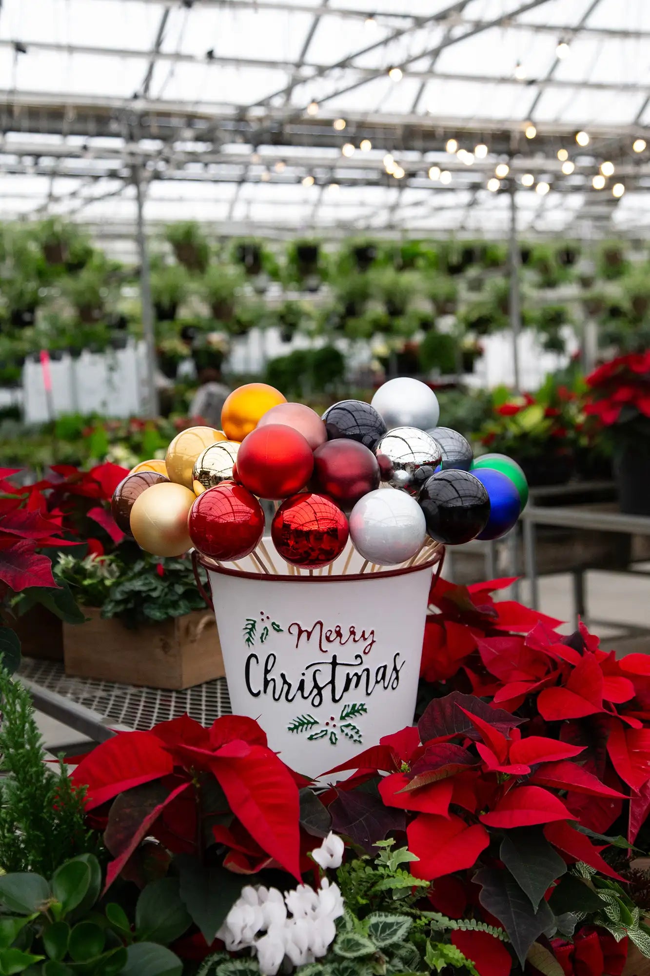 Decorative outdoor Christmas ornament bouquet with a 'Merry Christmas' container in a greenhouse setting.
