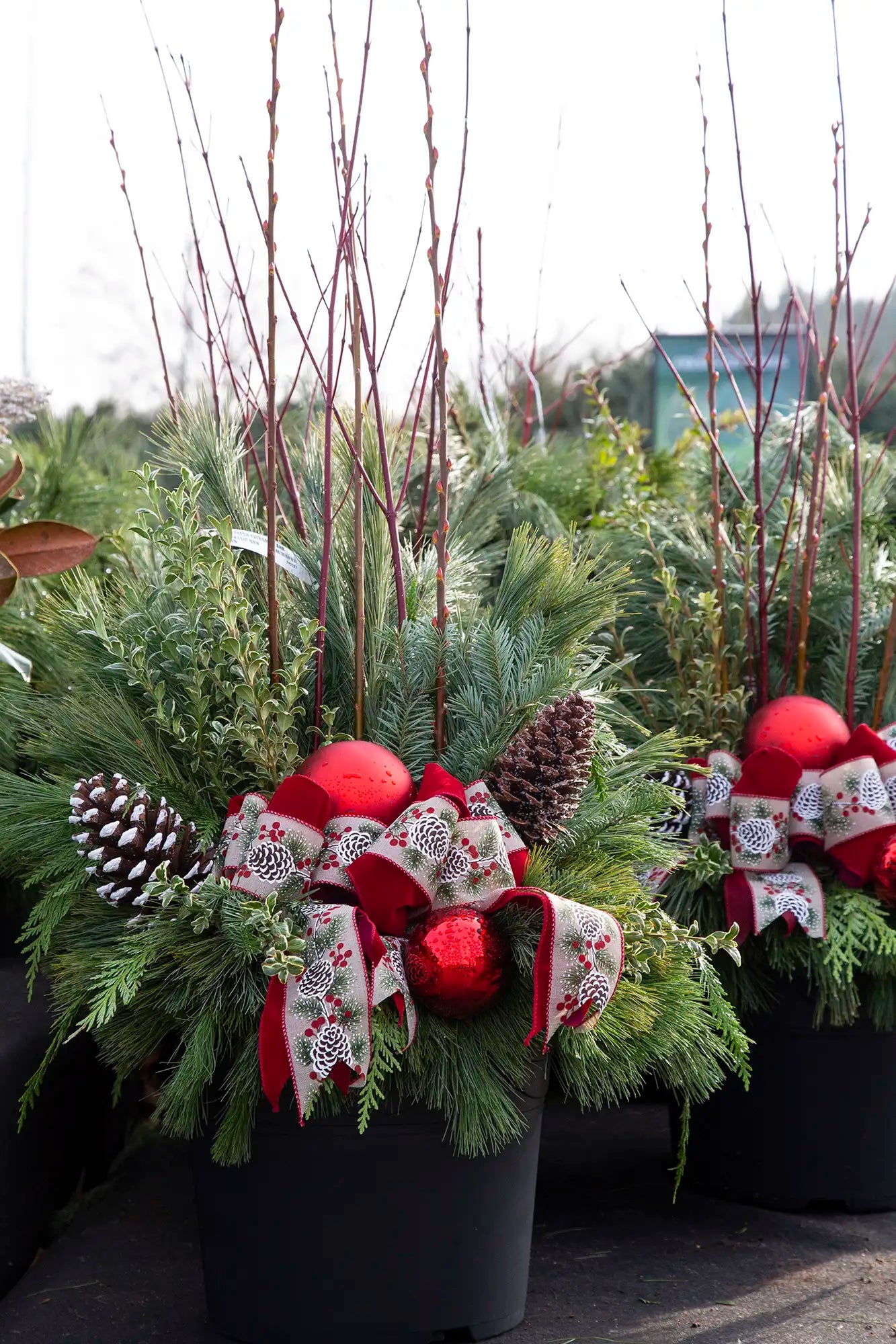 Decorative evergreen planters with greenery, red ornaments, red bow, and dogwood branches in an outdoor garden centre setting.