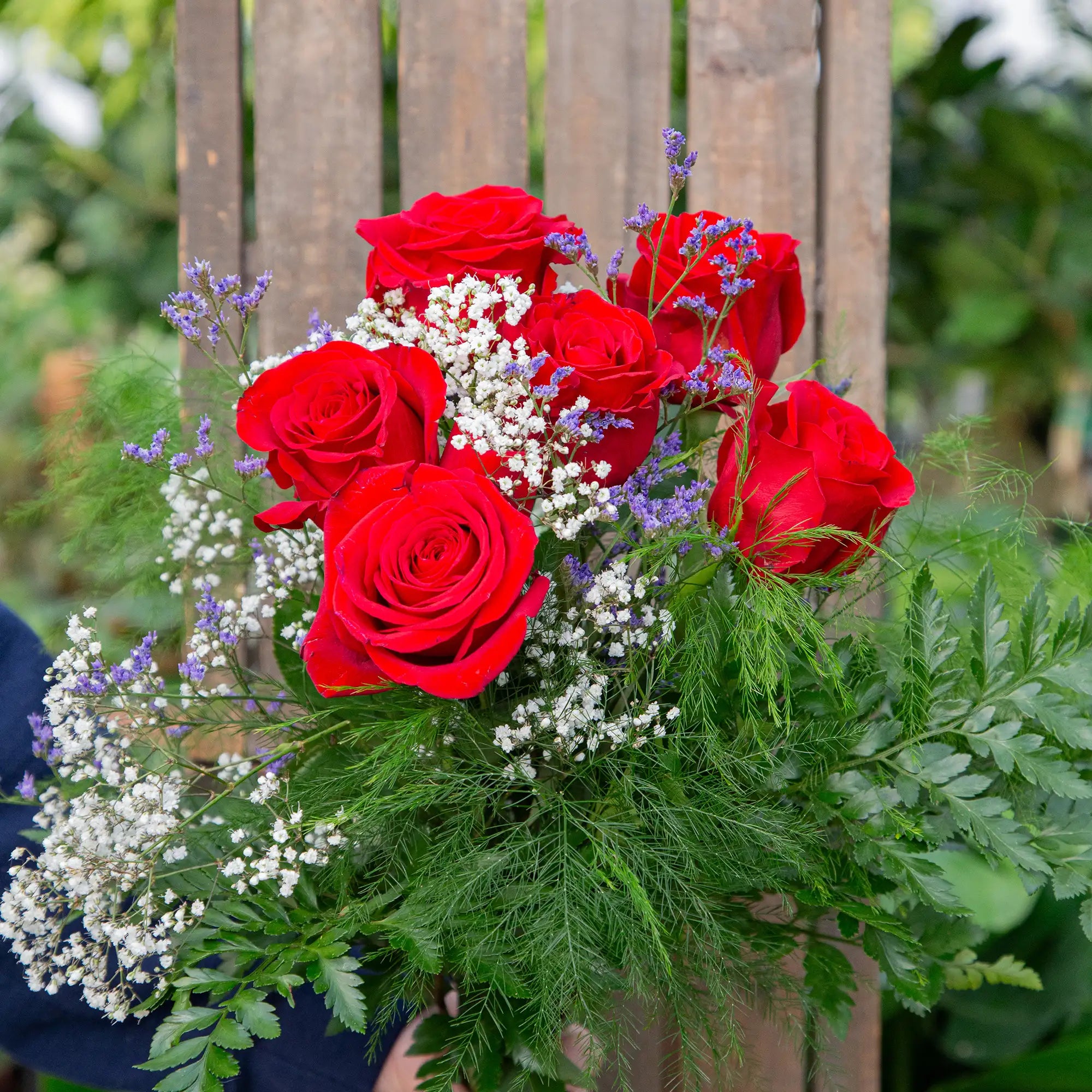 1/2 Dozen Long Stem Roses