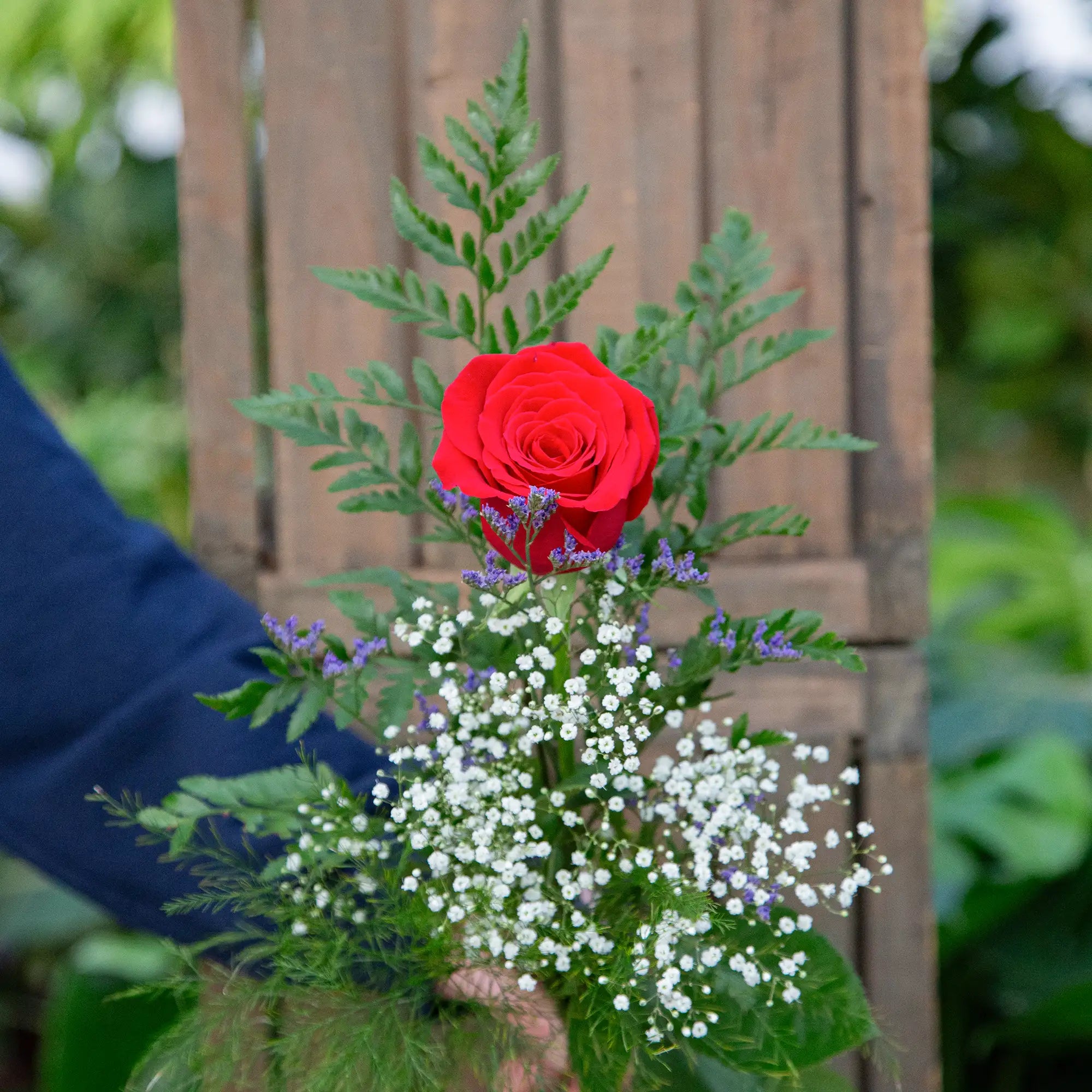 Single Long Stem Rose, Wrapped