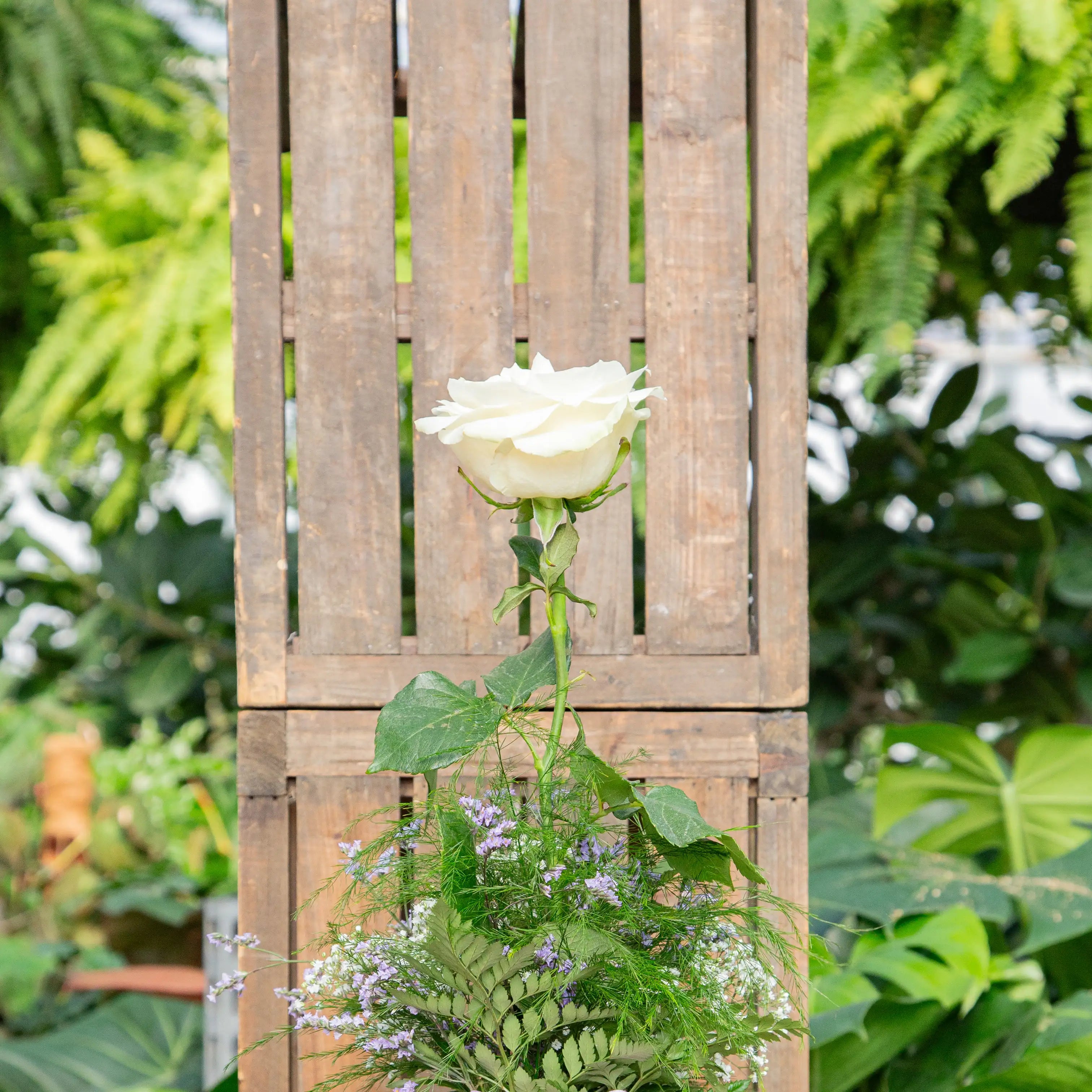 Three Long Stem Roses