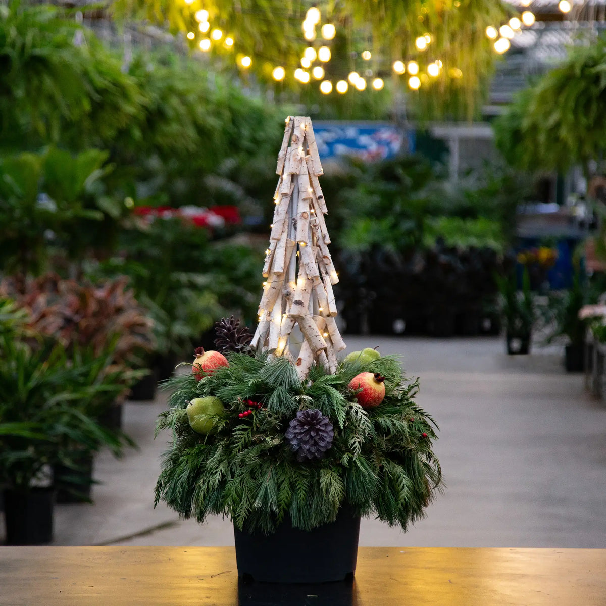Workshop: Birch Cone Evergreen Urn