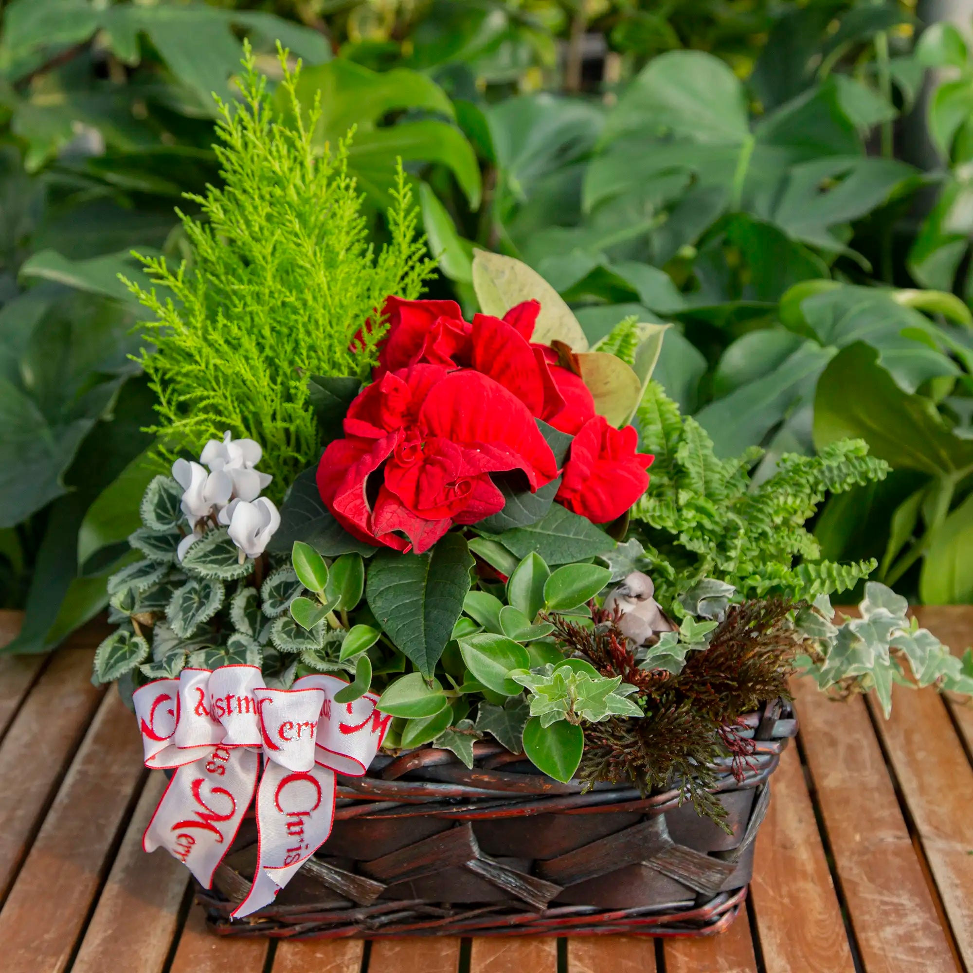 Workshop: Deluxe Holiday Planter