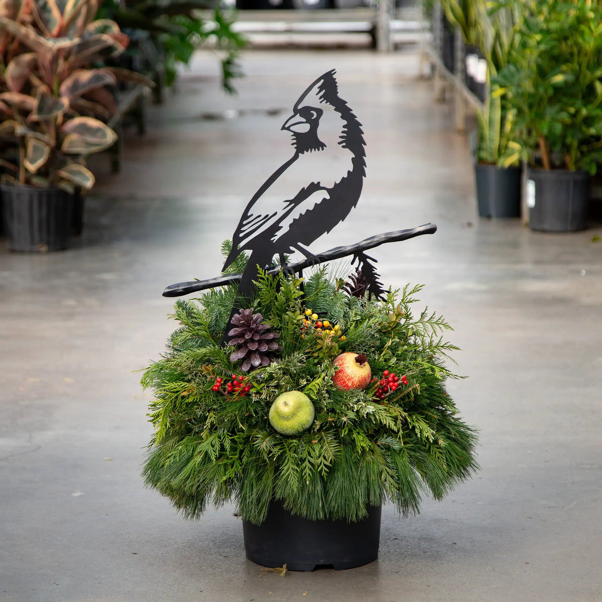 Evergreen arrangement with a black metal cardinal accent in it in a greenhouse setting.