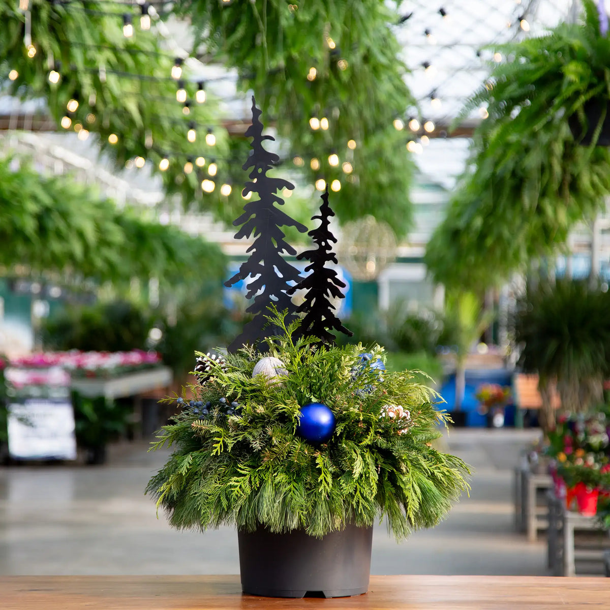 Decorative evergreen arrangement with two white metal tree silhouettes in a greenhouse setting.