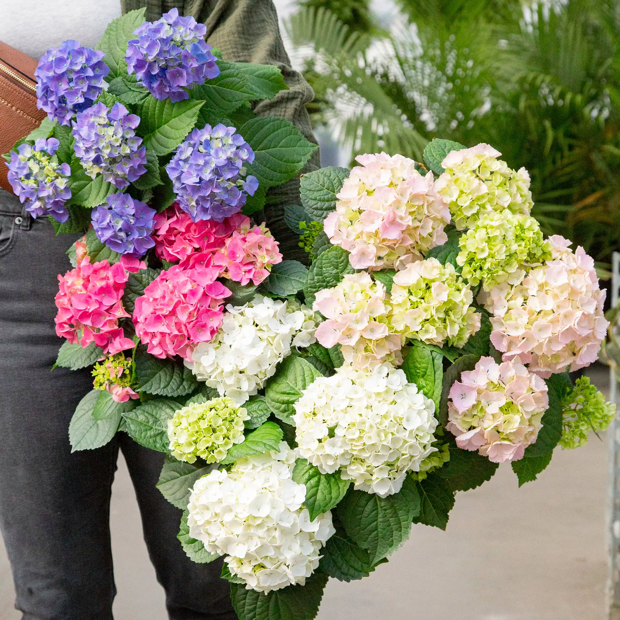 国内作家 hydrangea様 メモ まとめ売り 60サイズ 国内作家 hydrangea様