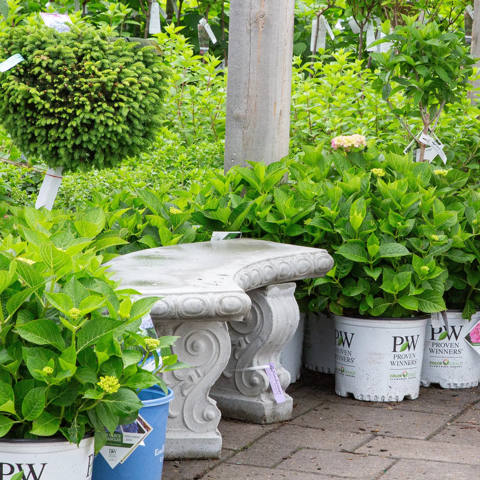 Decorative concrete bench surrounded by potted plants in a garden centre.
