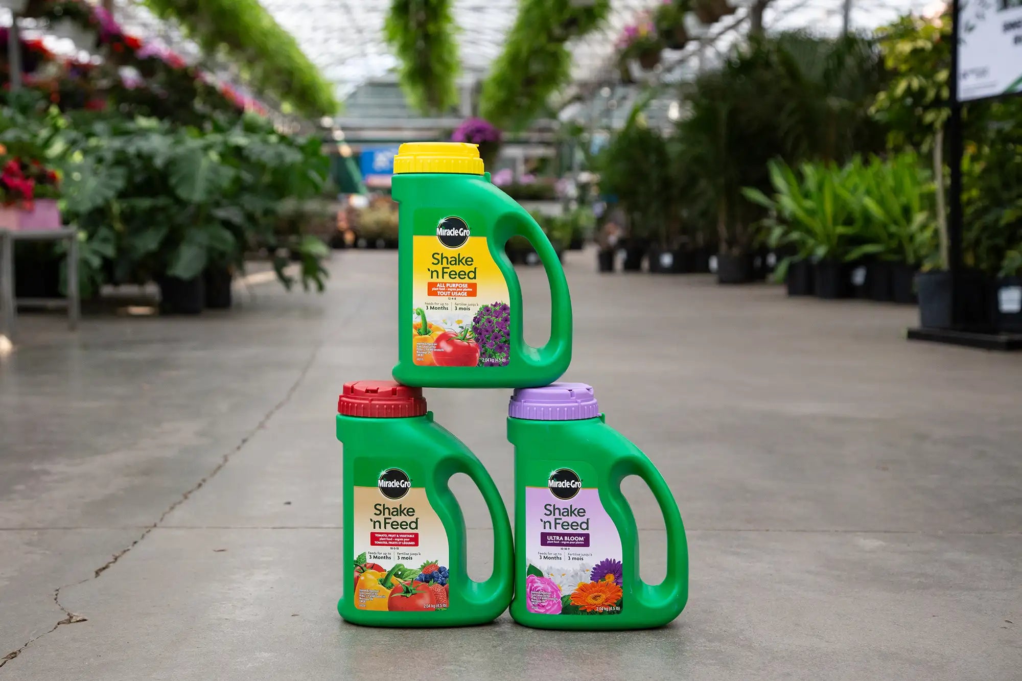 Three bottles of Shake 'n Feed fertilizer stacked on a concrete floor in a greenhouse.