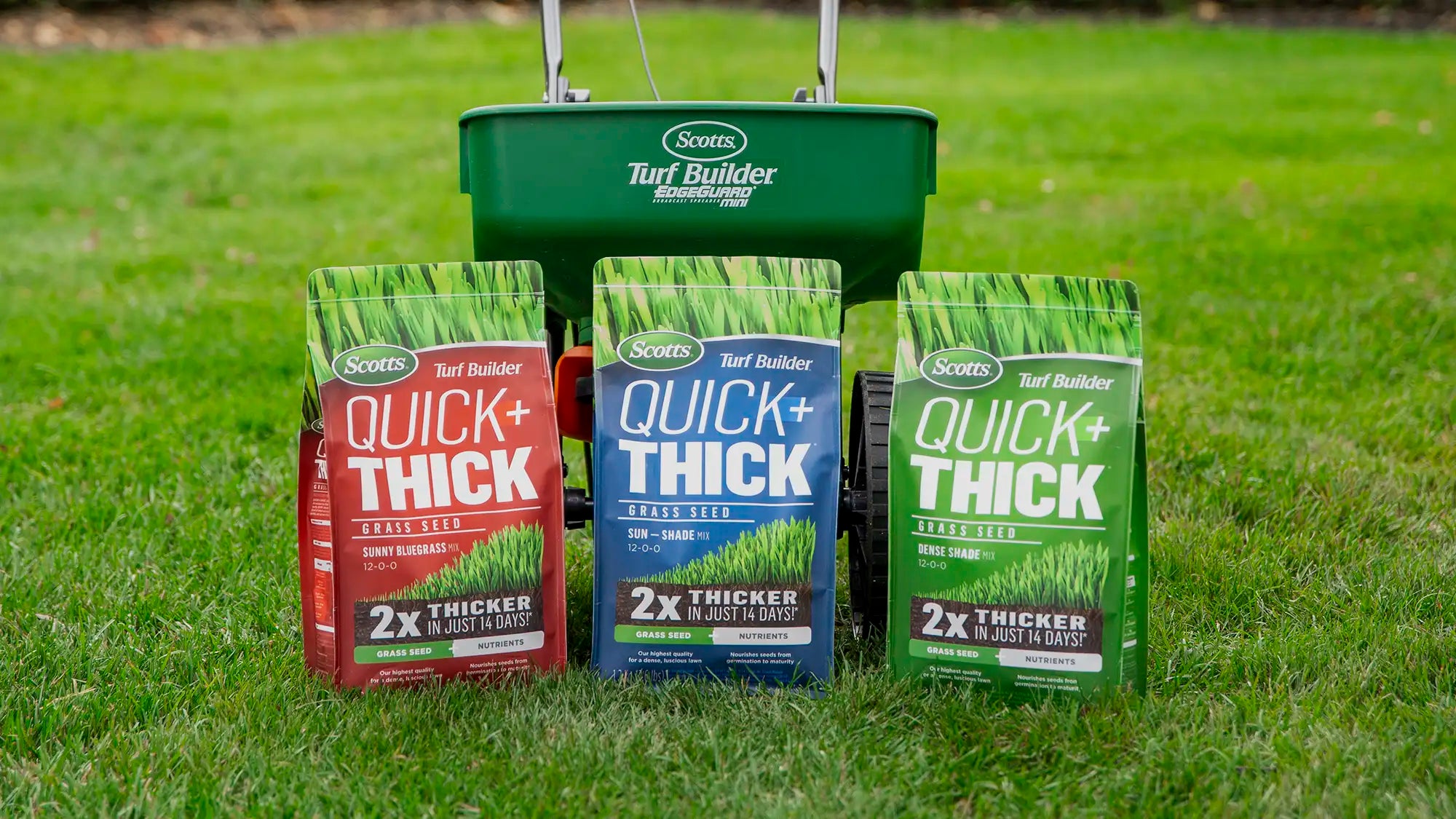 Three bags of Scotts Quick + Thick grass seed on a grassy background