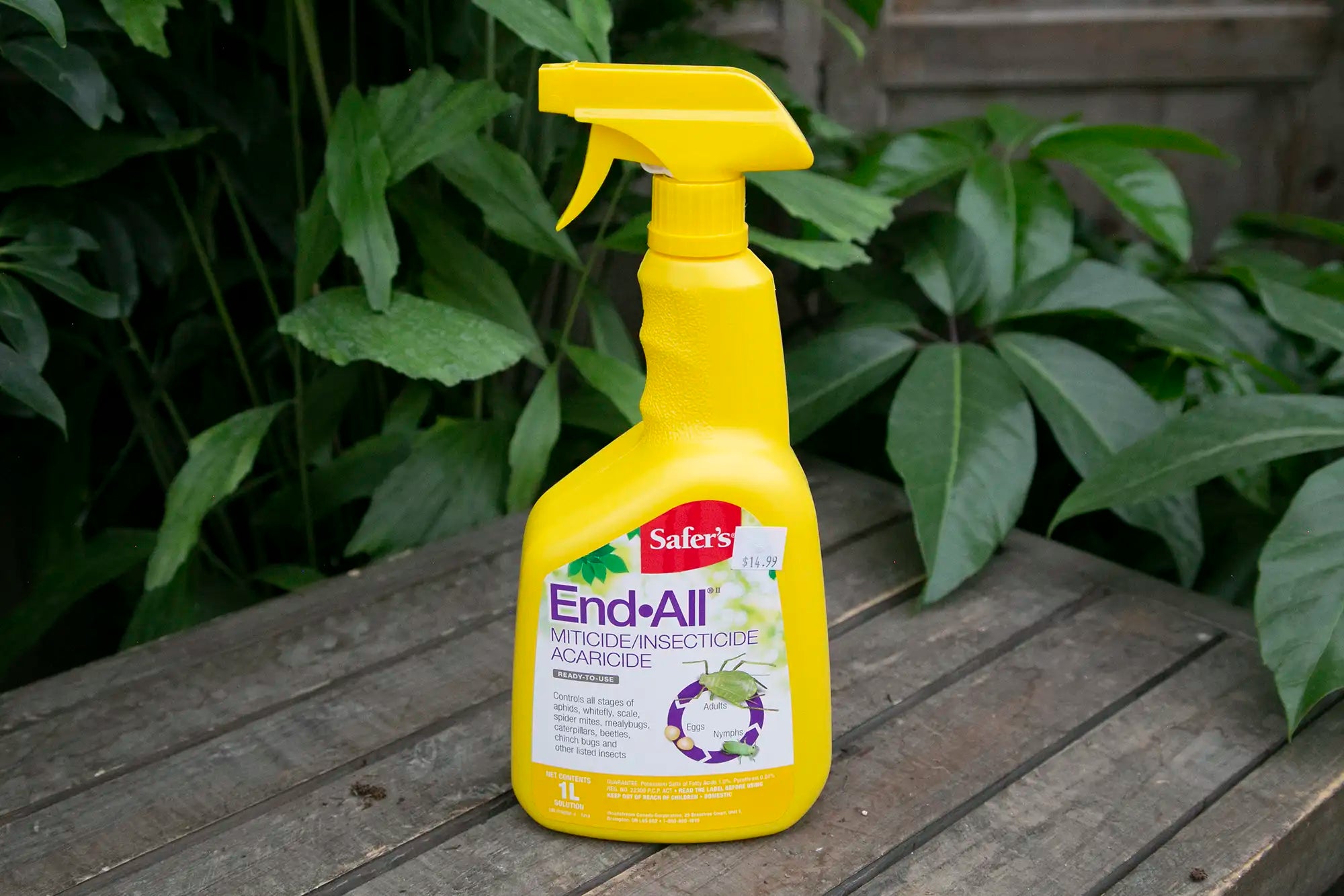 Safers End-All bottle on a wooden surface with green leaves in the background