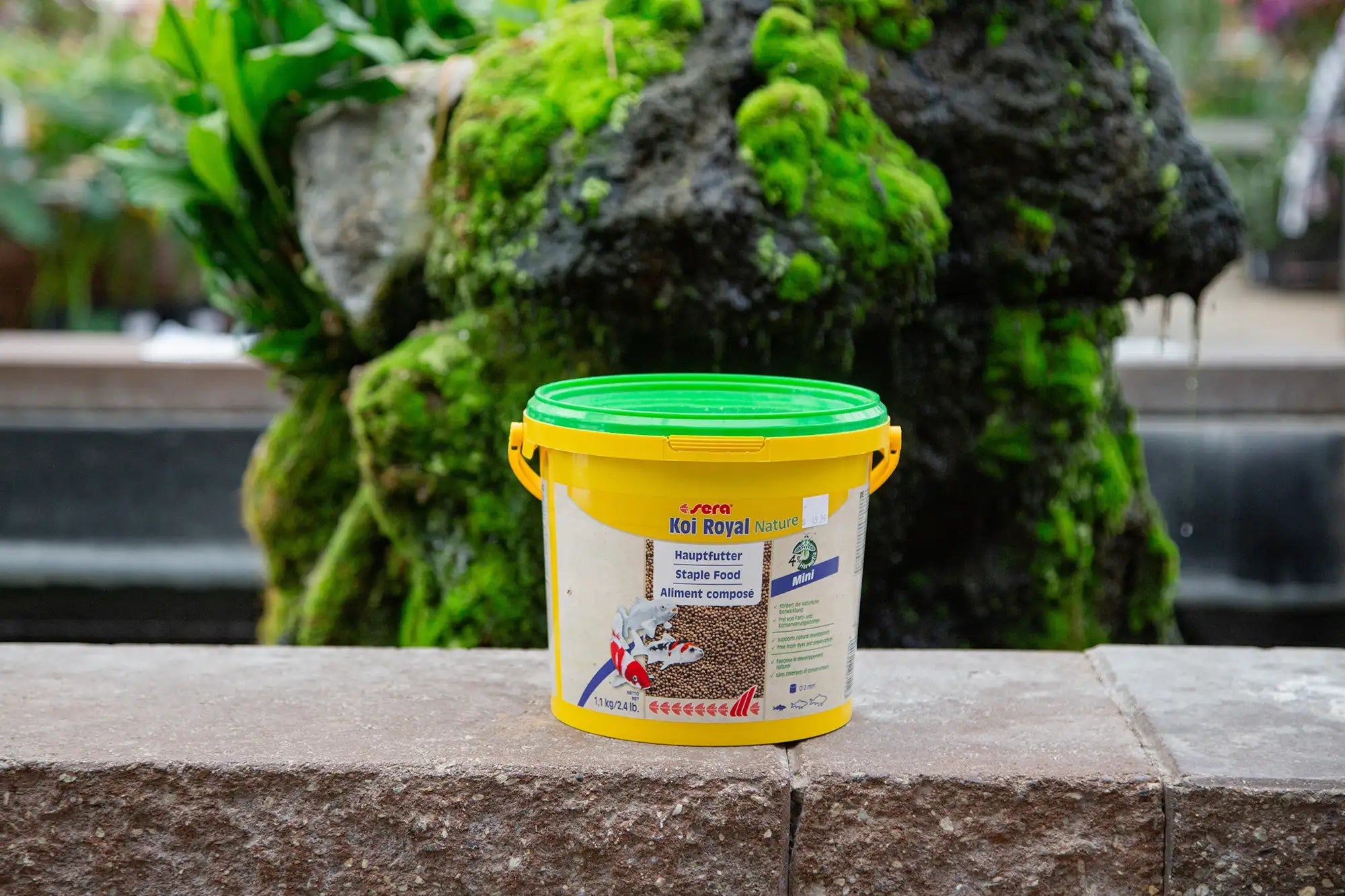 Bucket of koi food on a stone ledge with pond feature in the background