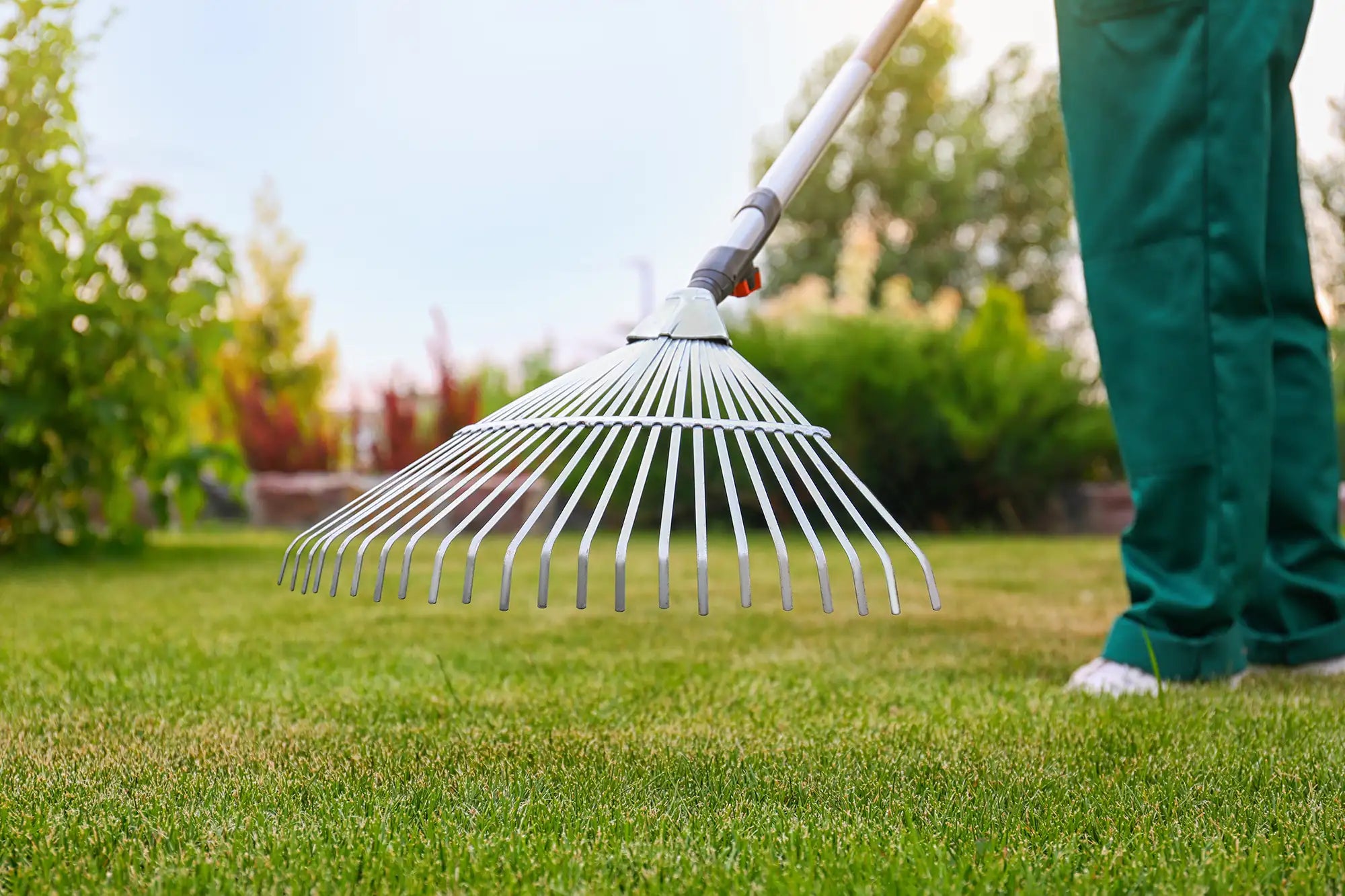 Person using a fan rake on grass with blurred background