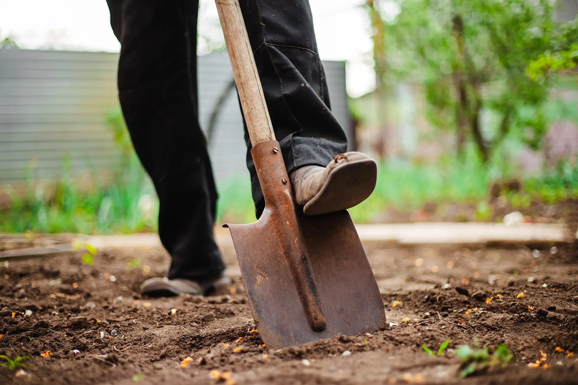 Person using a shovel in a garden