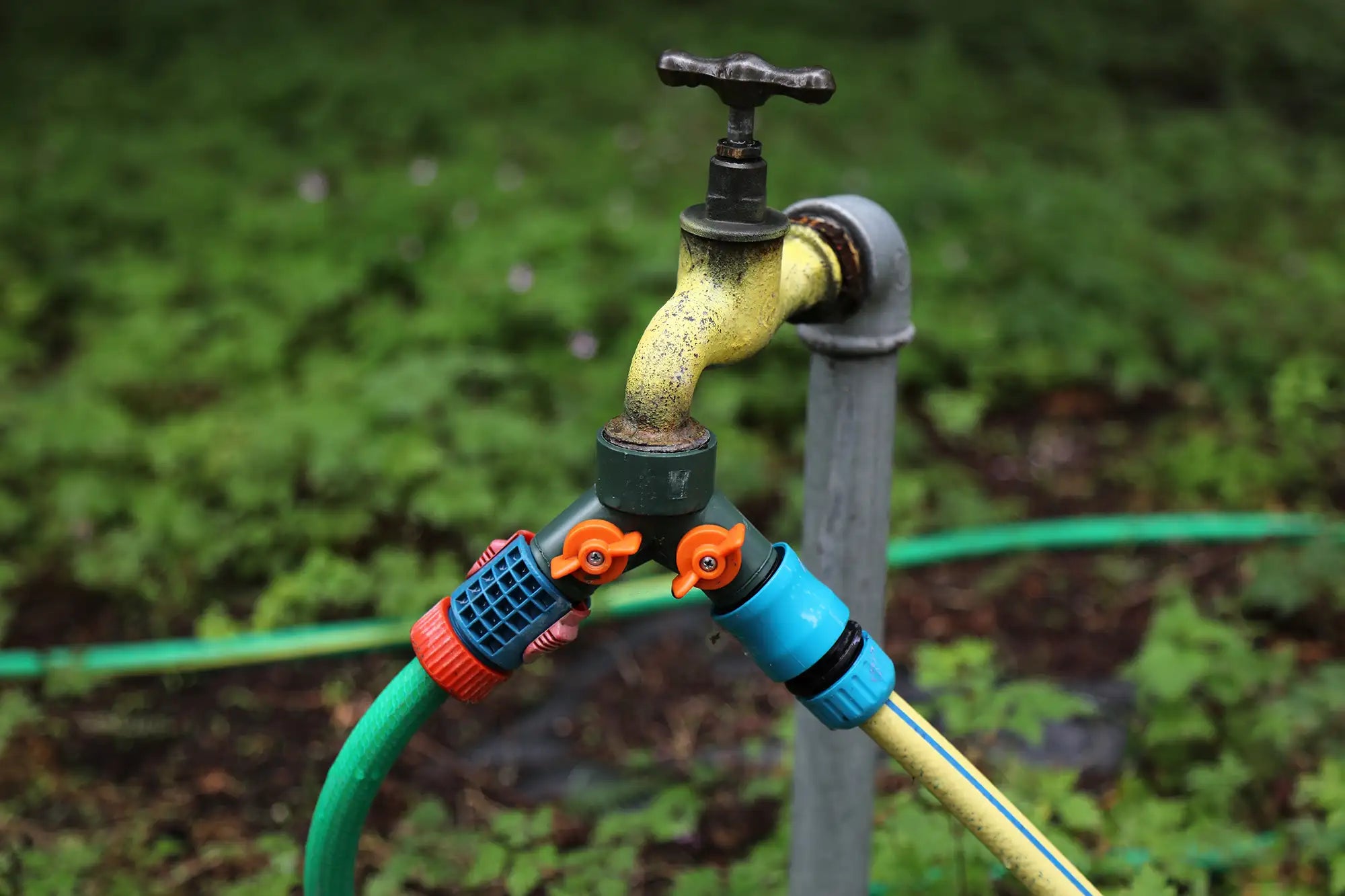 Garden faucet with hose splitter and valves attached to hoses.