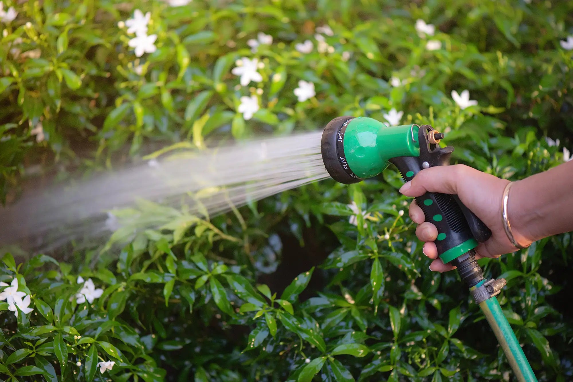 Person watering plants with a green Dramm nozzle