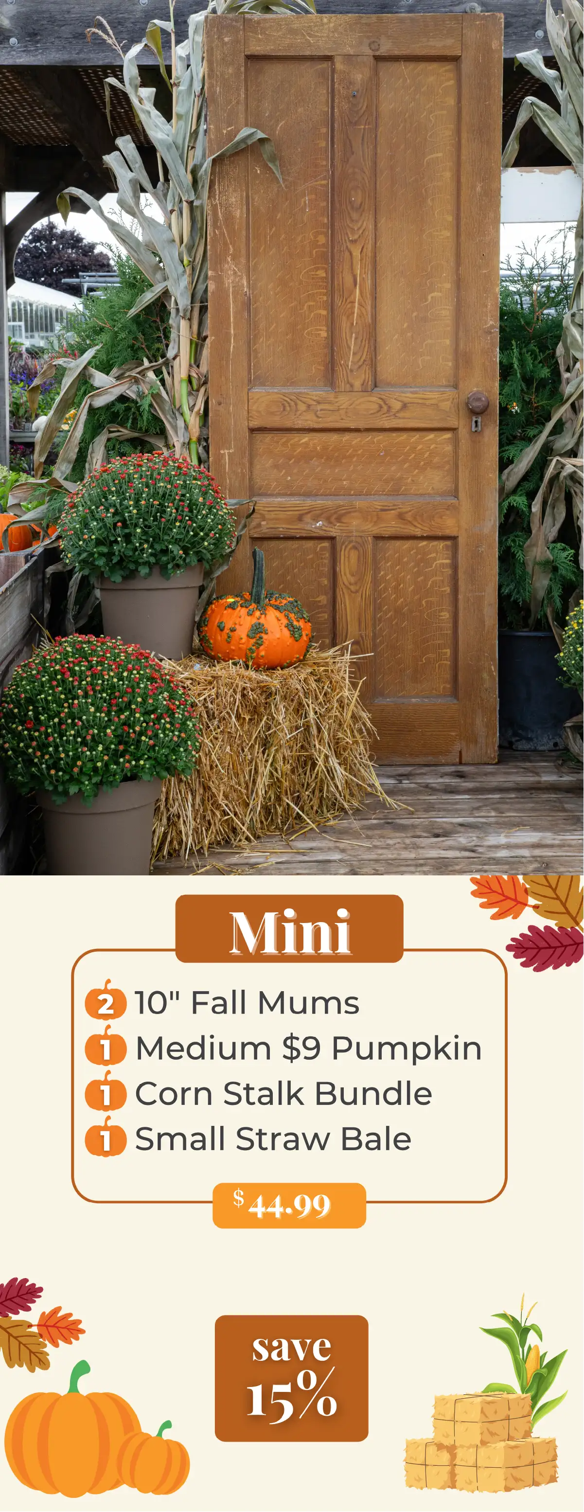 Wooden door with one pumpkin, two mums, a corn stalk bundle, and a straw bale on a wooden deck.