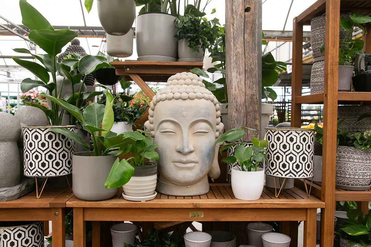 Buddha head sculpture on a wooden table with potted houseplants in a greenhouse setting