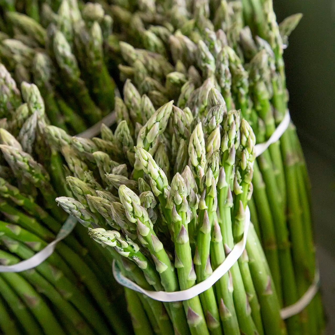 Fresh Ontario-grown asparagus bundled in container