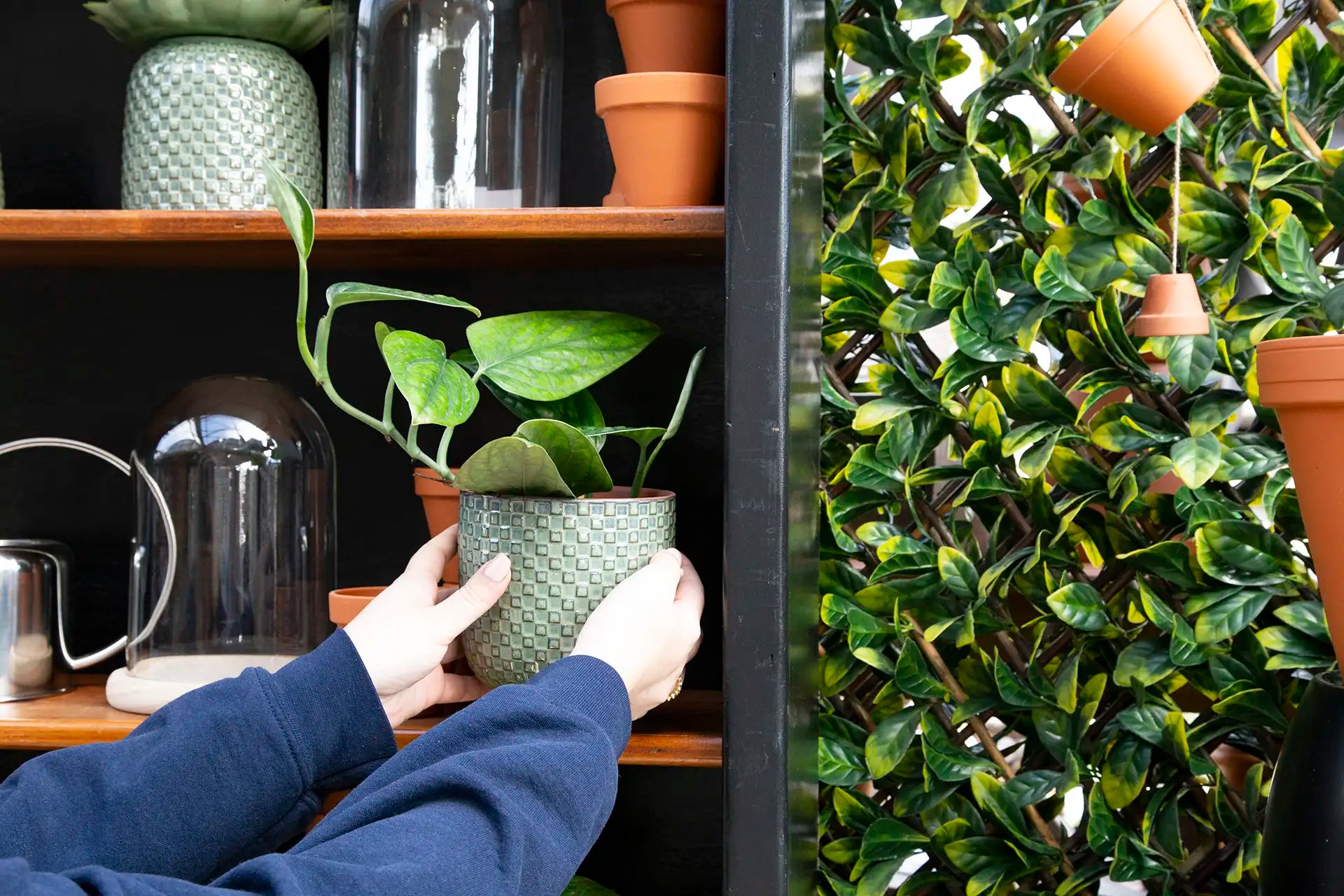 Person picking up a potted plant off a shelf surrounded by ceramic pots