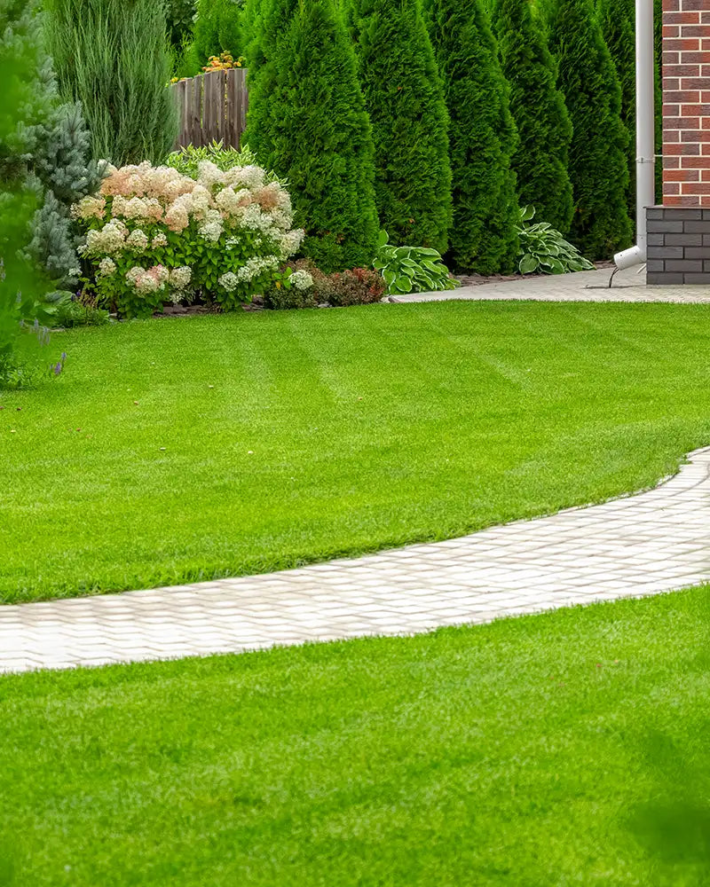 Lush green lawn with a curved stone path and well-maintained bushes and trees.