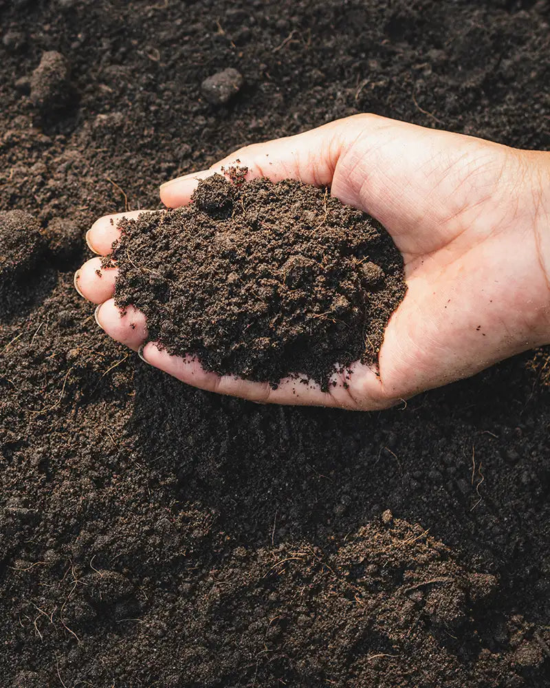 Hand holding a handful of dark brown soil against a similar soil background