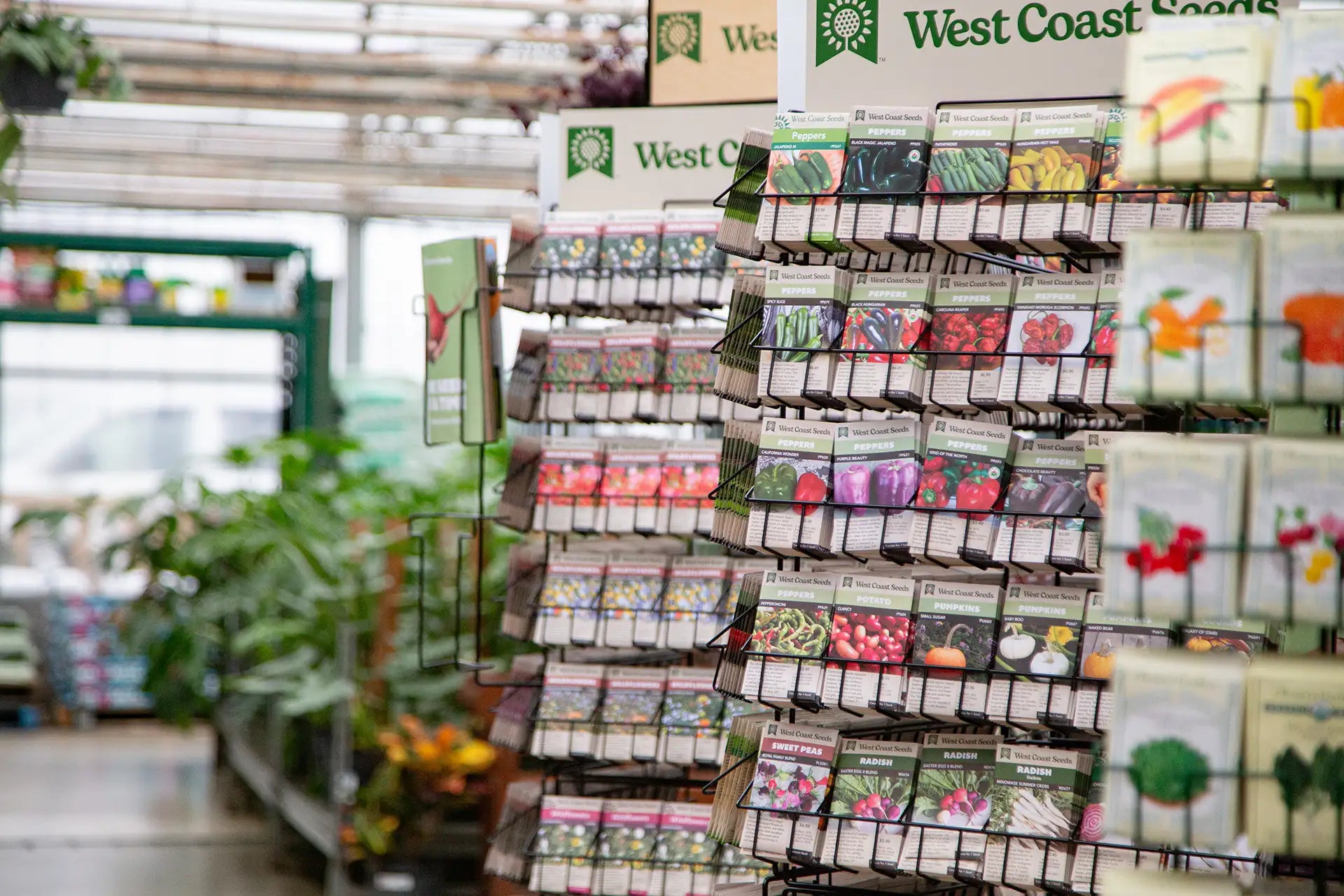 Display of West Coast seeds in front of plants in a garden centre setting