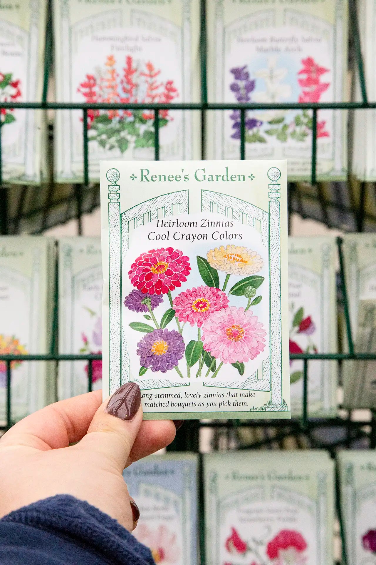 Hand holding a Renee's Garden seed packet with zinnia flowers in front of more seed packets.
