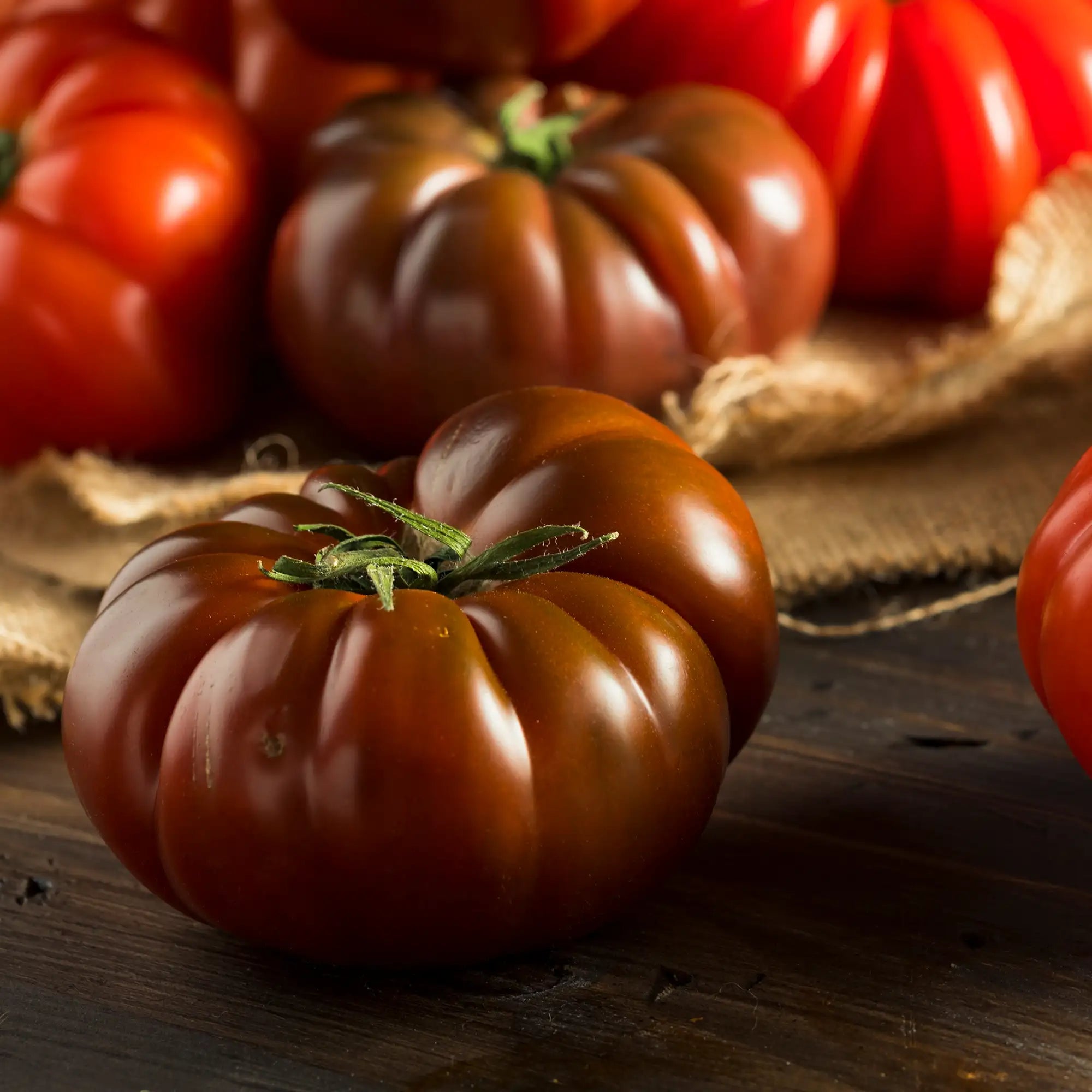 Tomato 'Cherokee Purple'