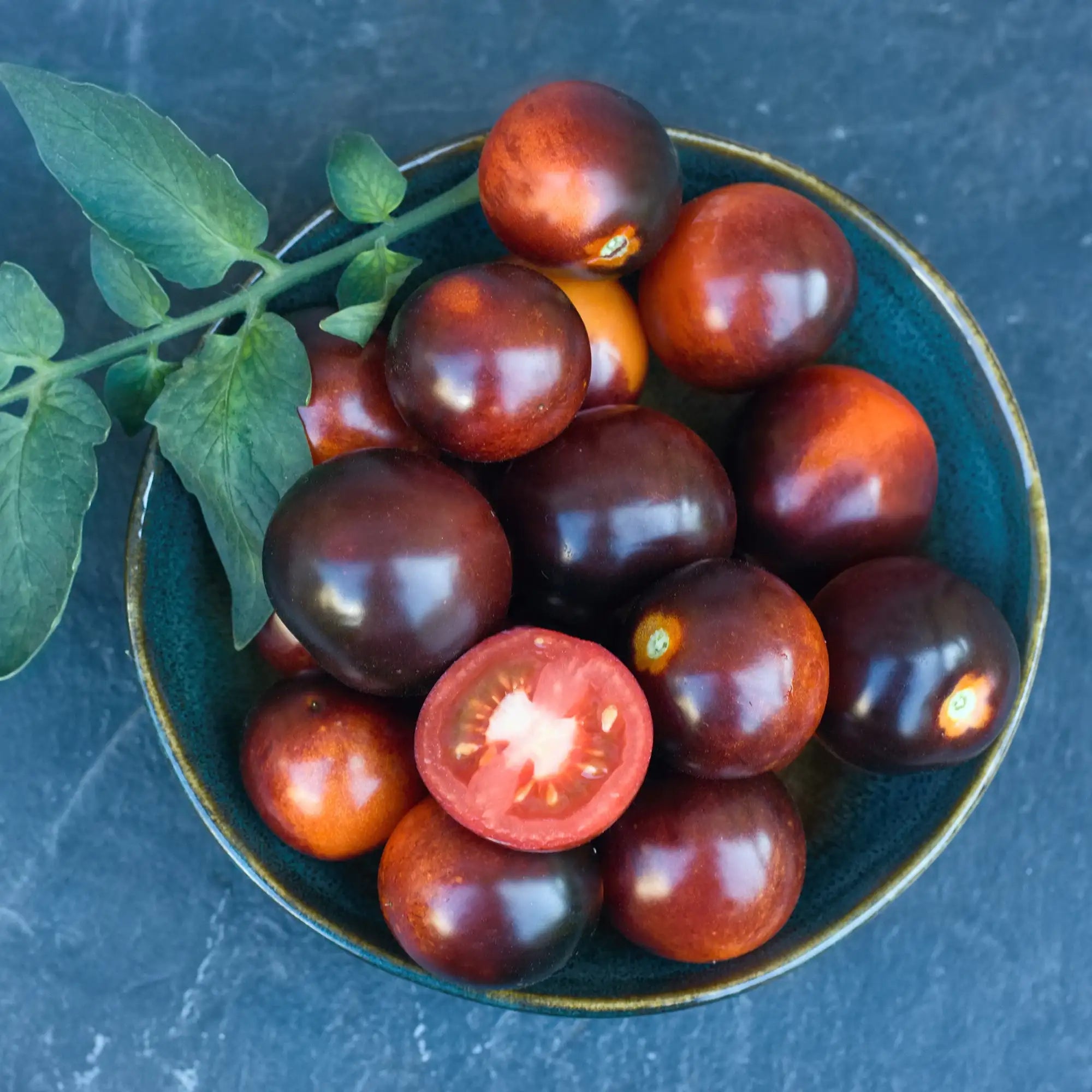 Tomato 'Midnight Snack'
