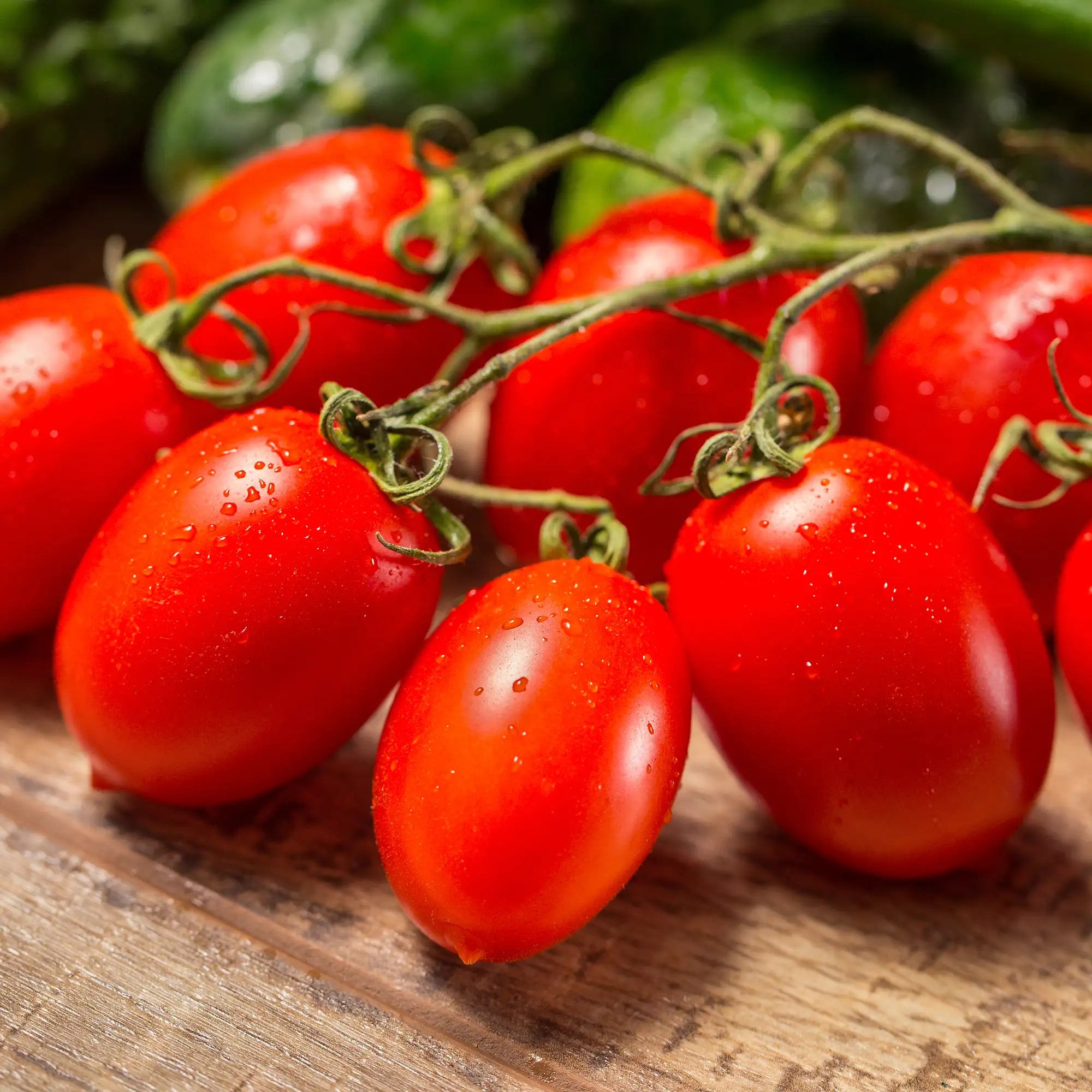 Tomato 'Roma VF'