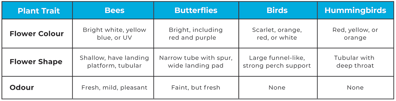 pollinator-chart