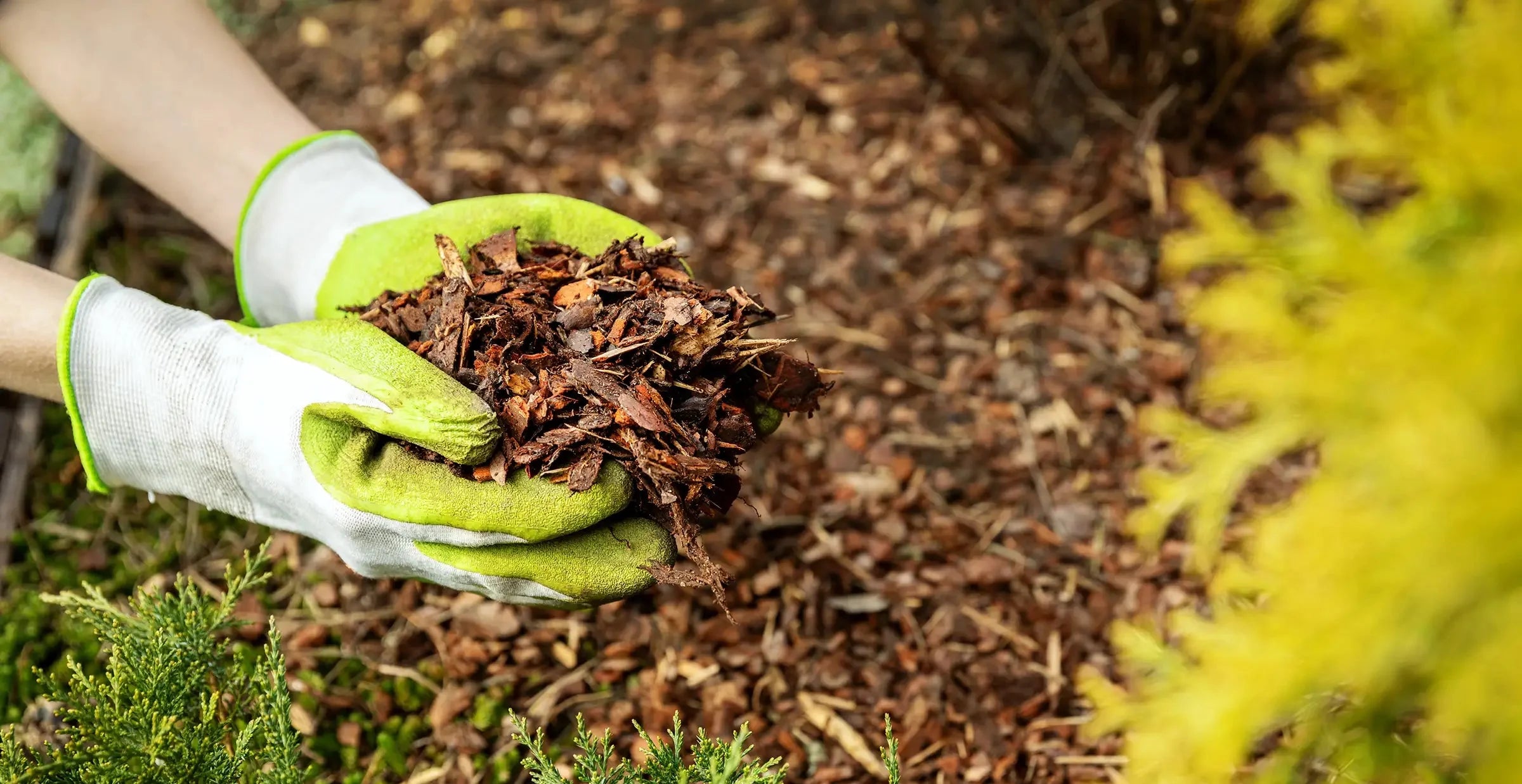 Mulch