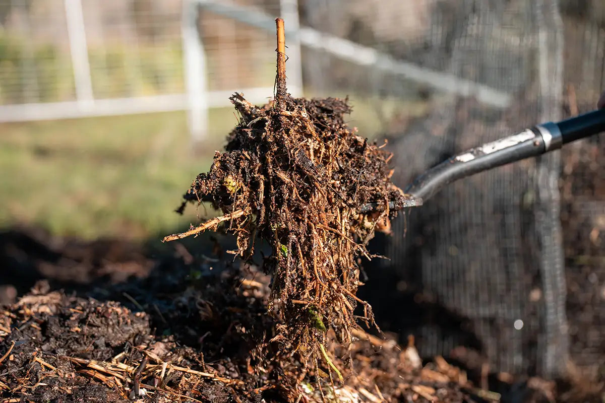 Partially broken down compost with branches and plant material being shoveled out of pile.