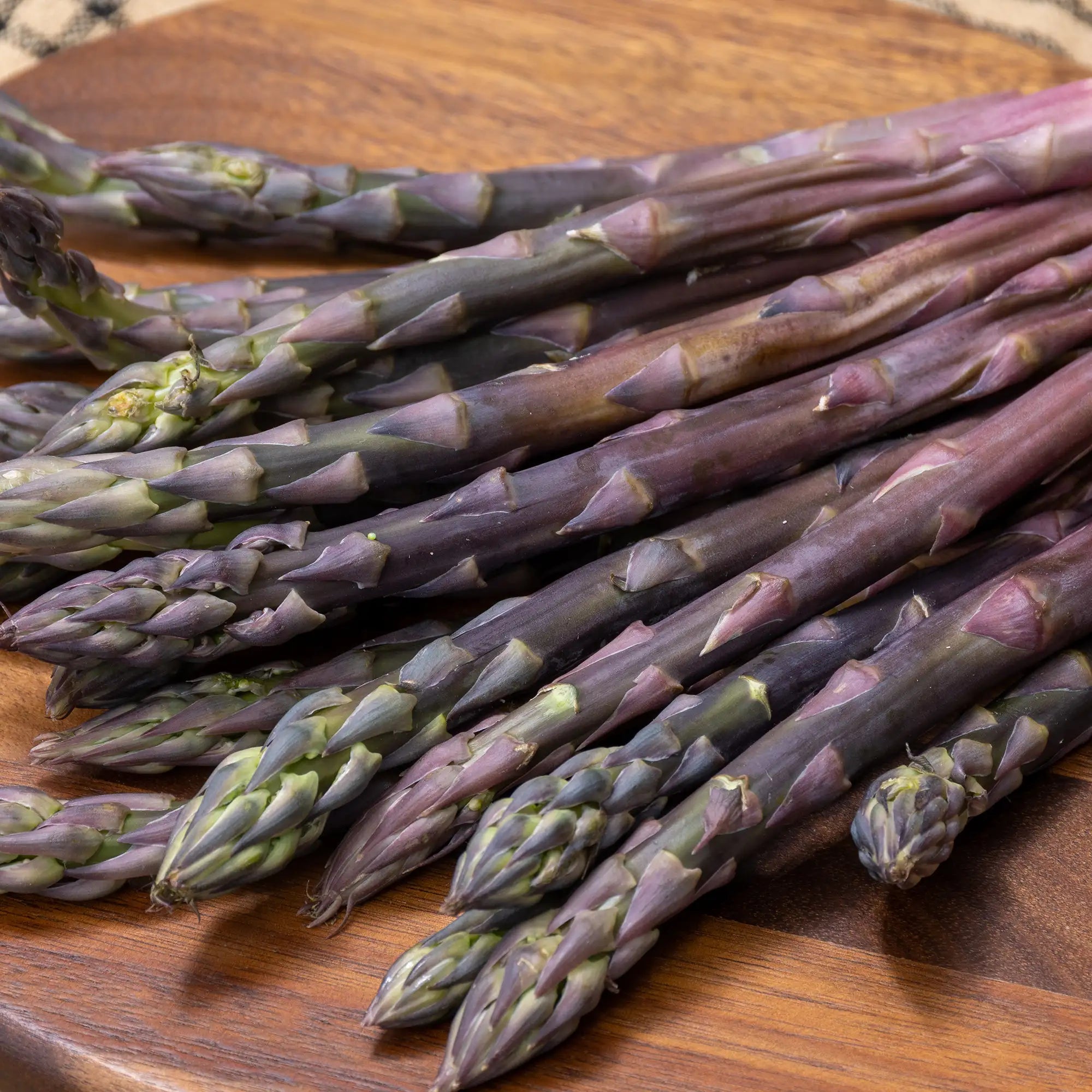Asparagus 'Erasmus'