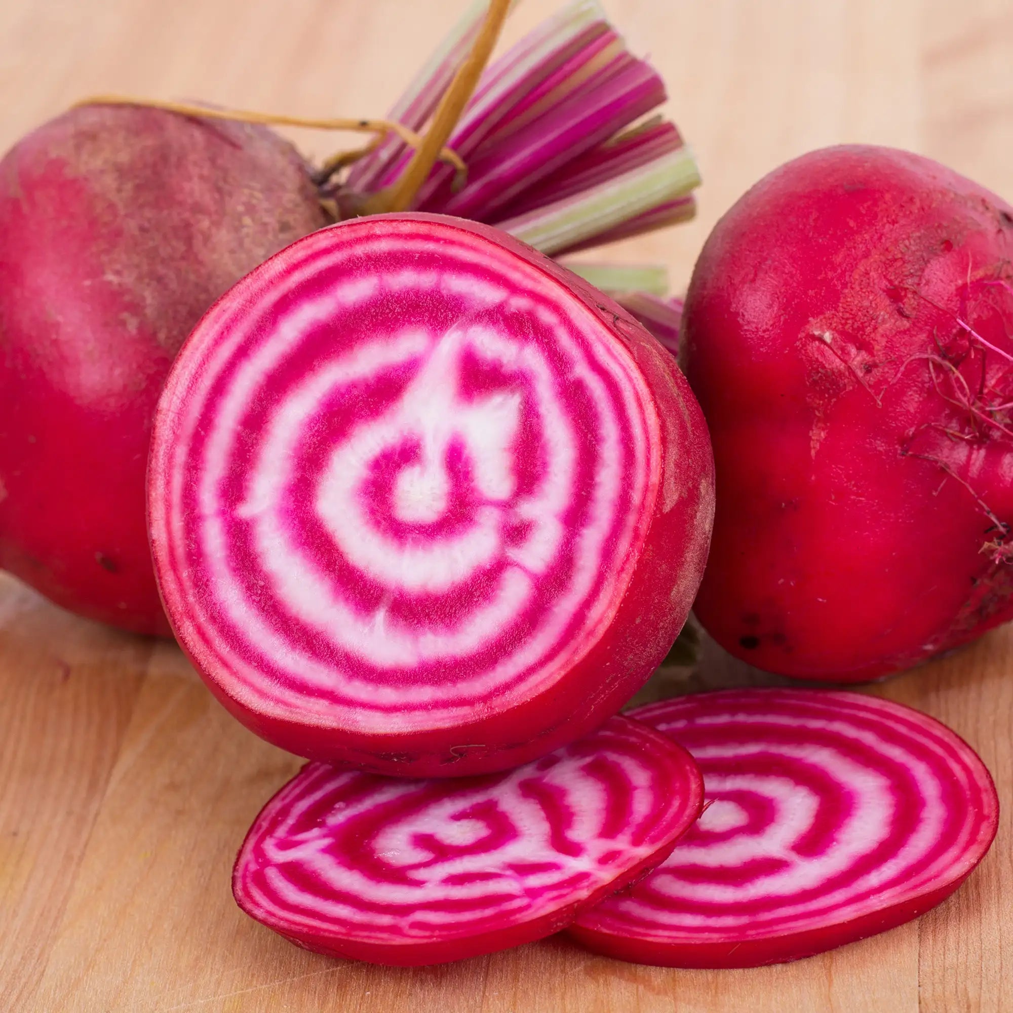 Beet 'Chioggia Guardsmark'