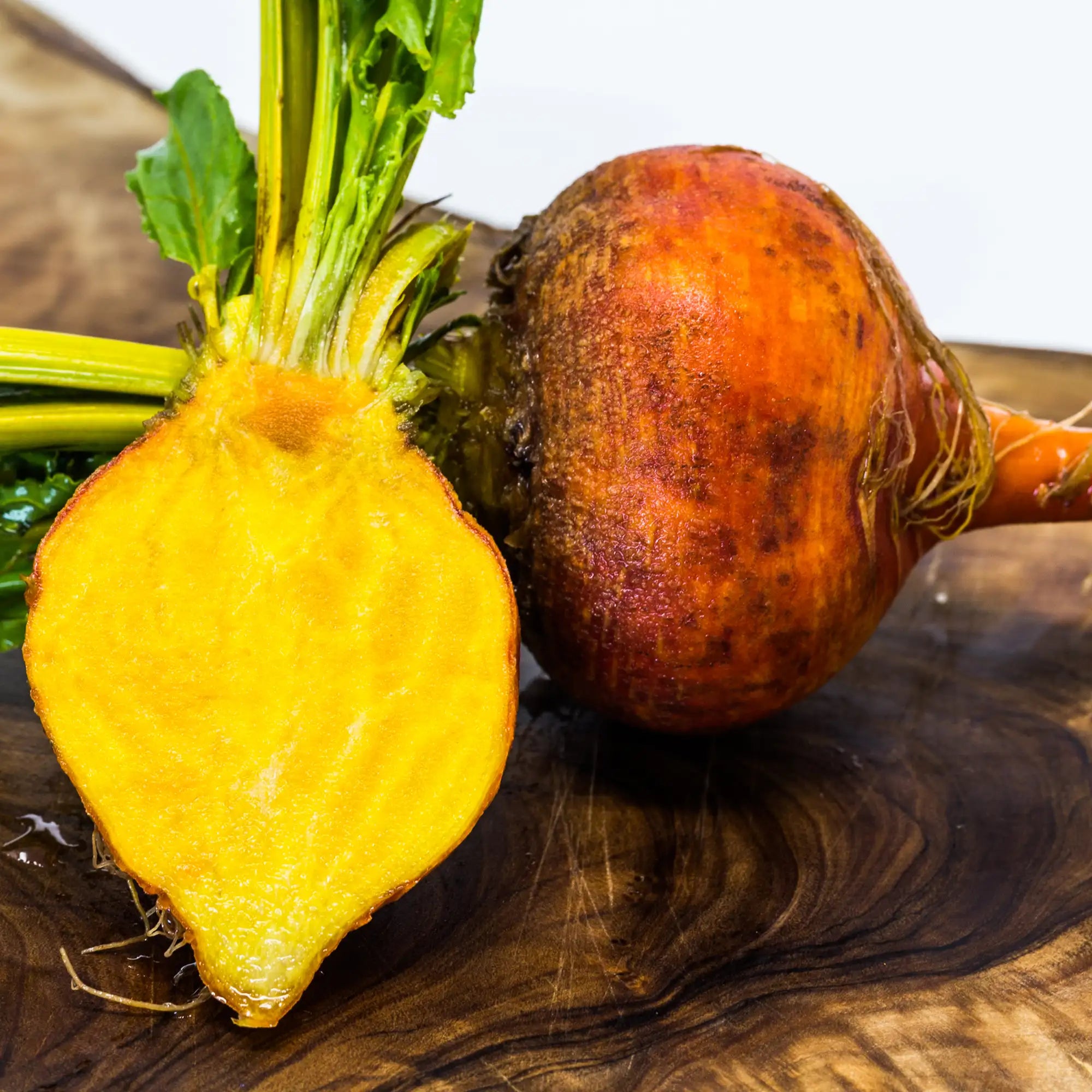 Beet 'Touchstone Gold'
