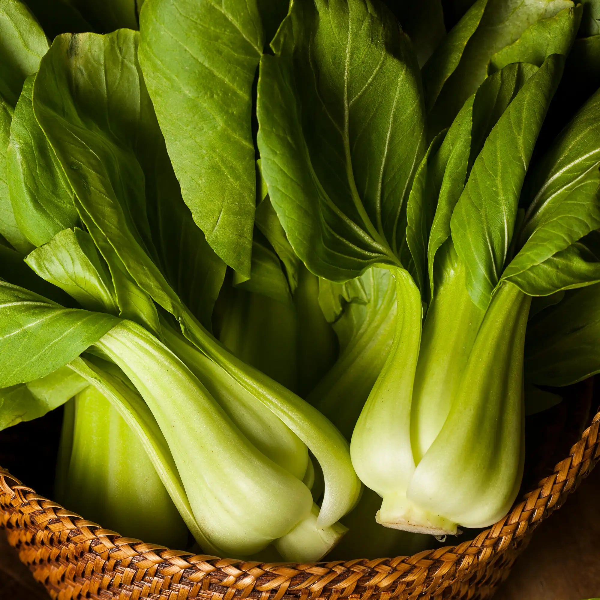 Bok Choy/Pak Choi 'Mei Qing Choi'