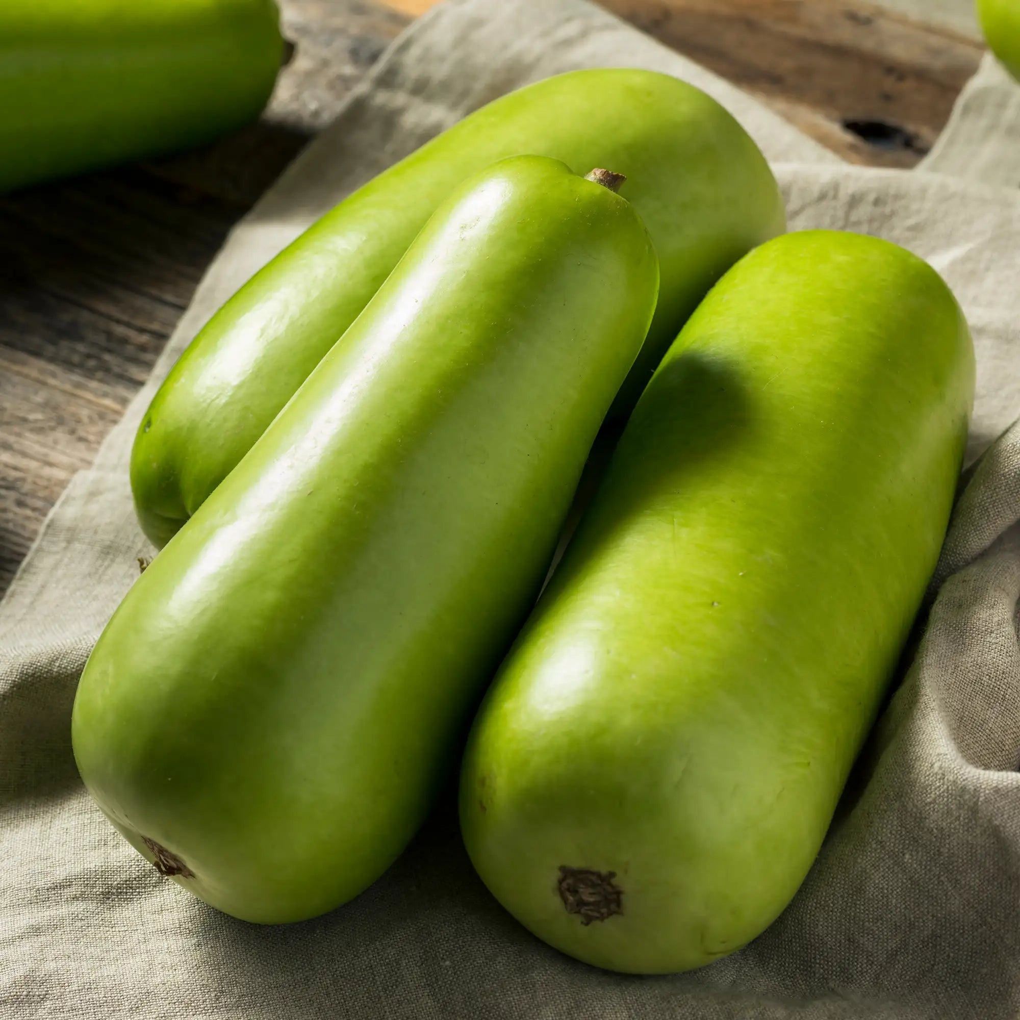 Bottle Gourd 'Green Club'
