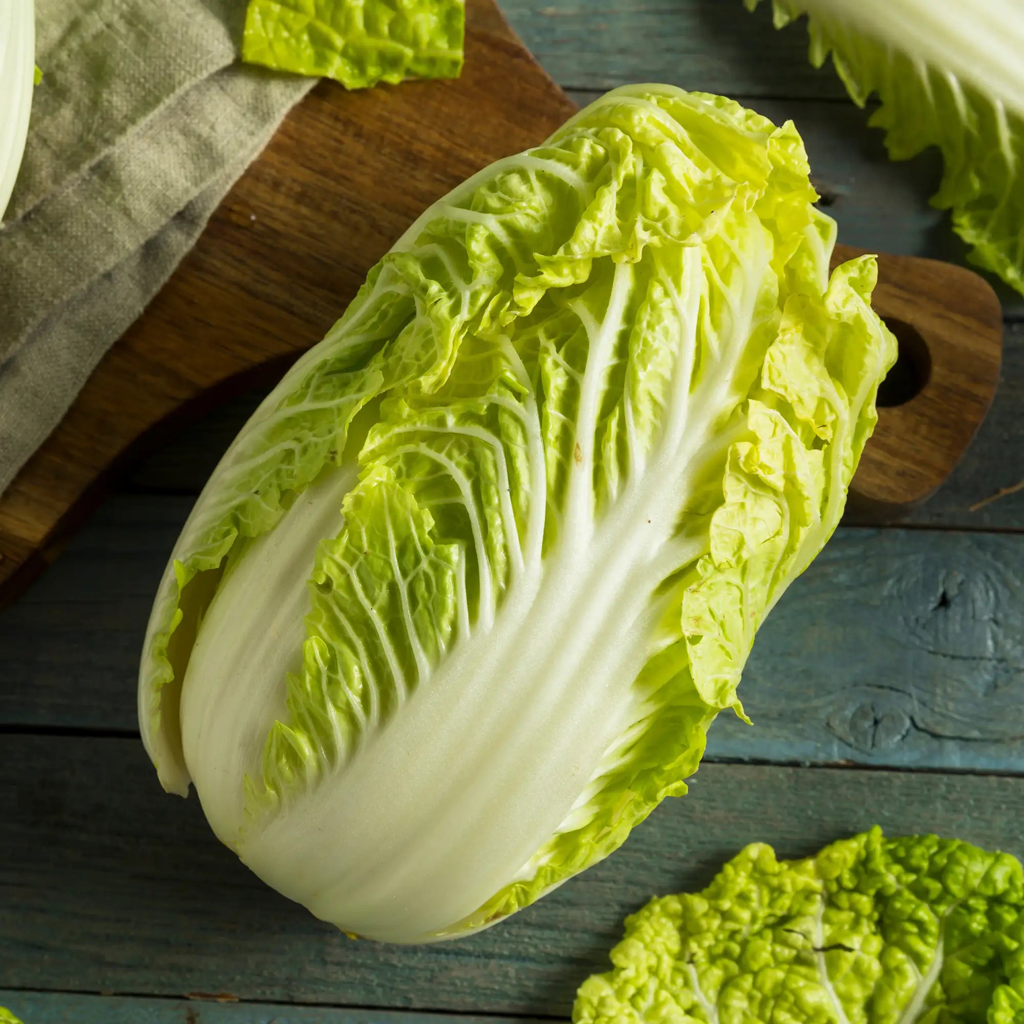 Cabbage Napa