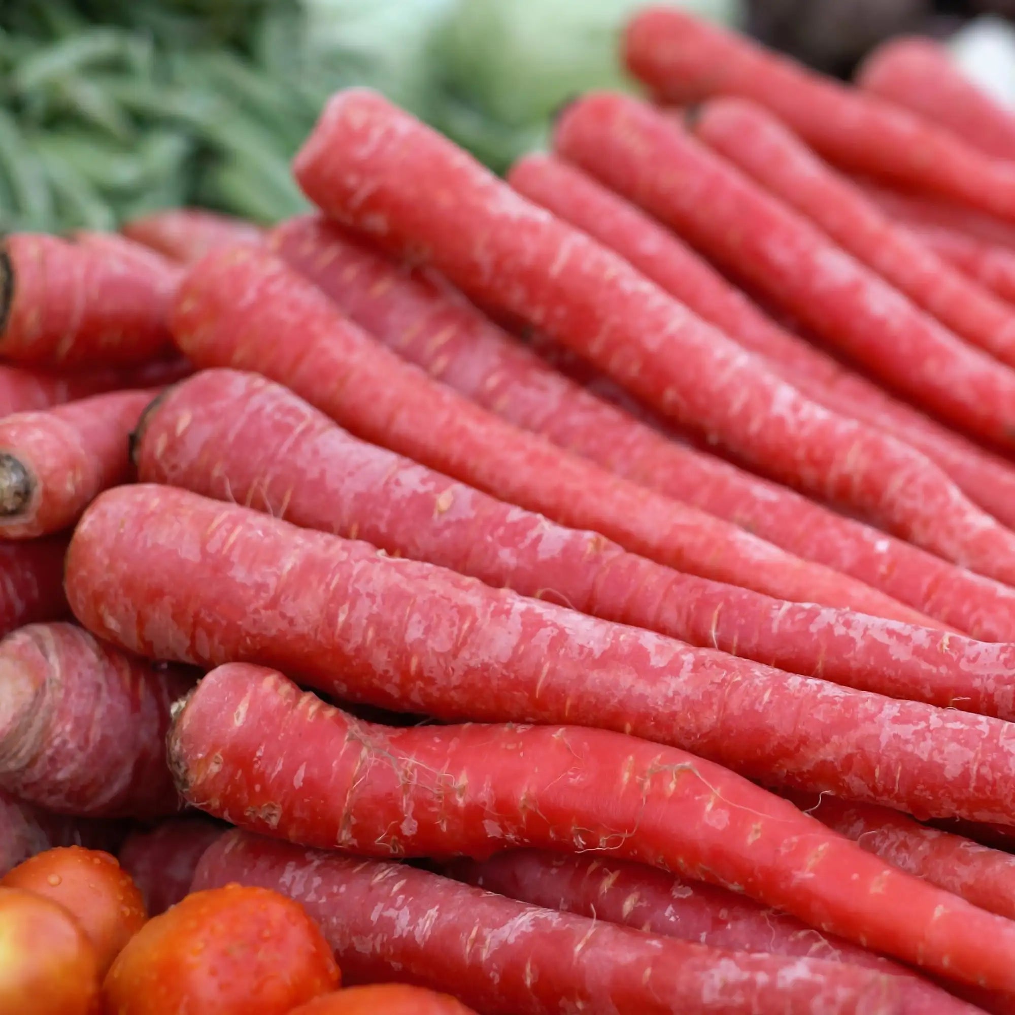 Carrot 'Kintoki'