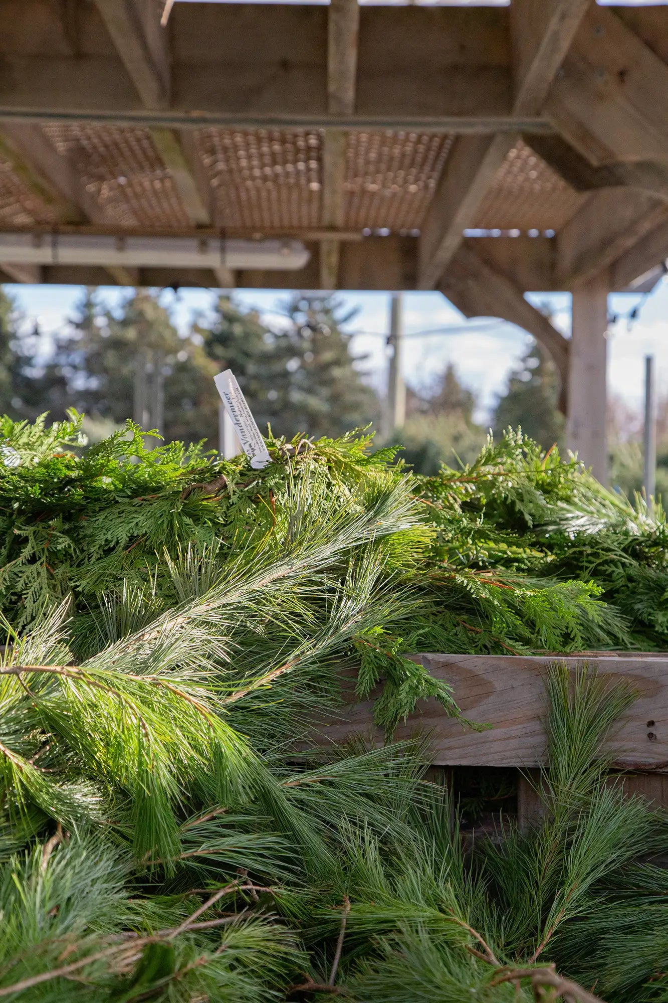 Stack of fresh cut pine and cedar bough bundles under a wooden pergola
